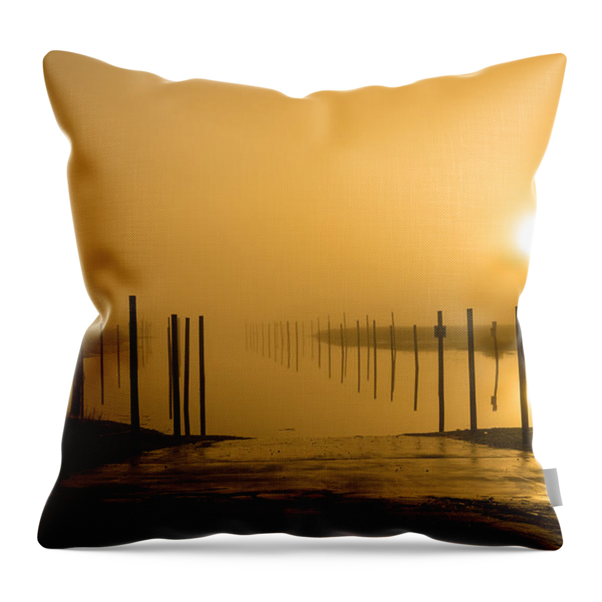Fog Throw Pillow featuring the photograph Golden Fog on the Nissequogue by Alissa Beth Photography