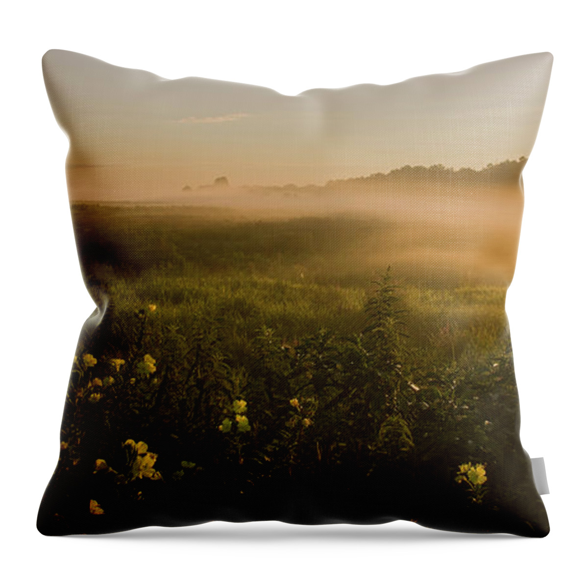 Sunrise Throw Pillow featuring the photograph Golden Fog Sunrise At The Refuge by Angelo Marcialis