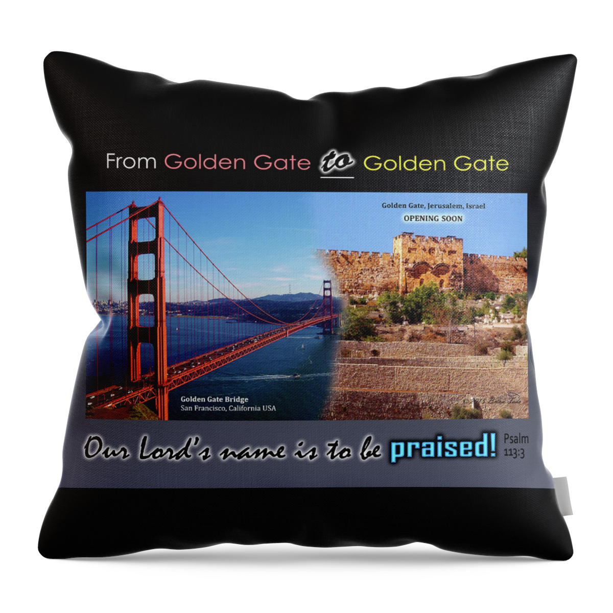 Travel Throw Pillow featuring the photograph Golden Gate to Golden Gate by Brian Tada