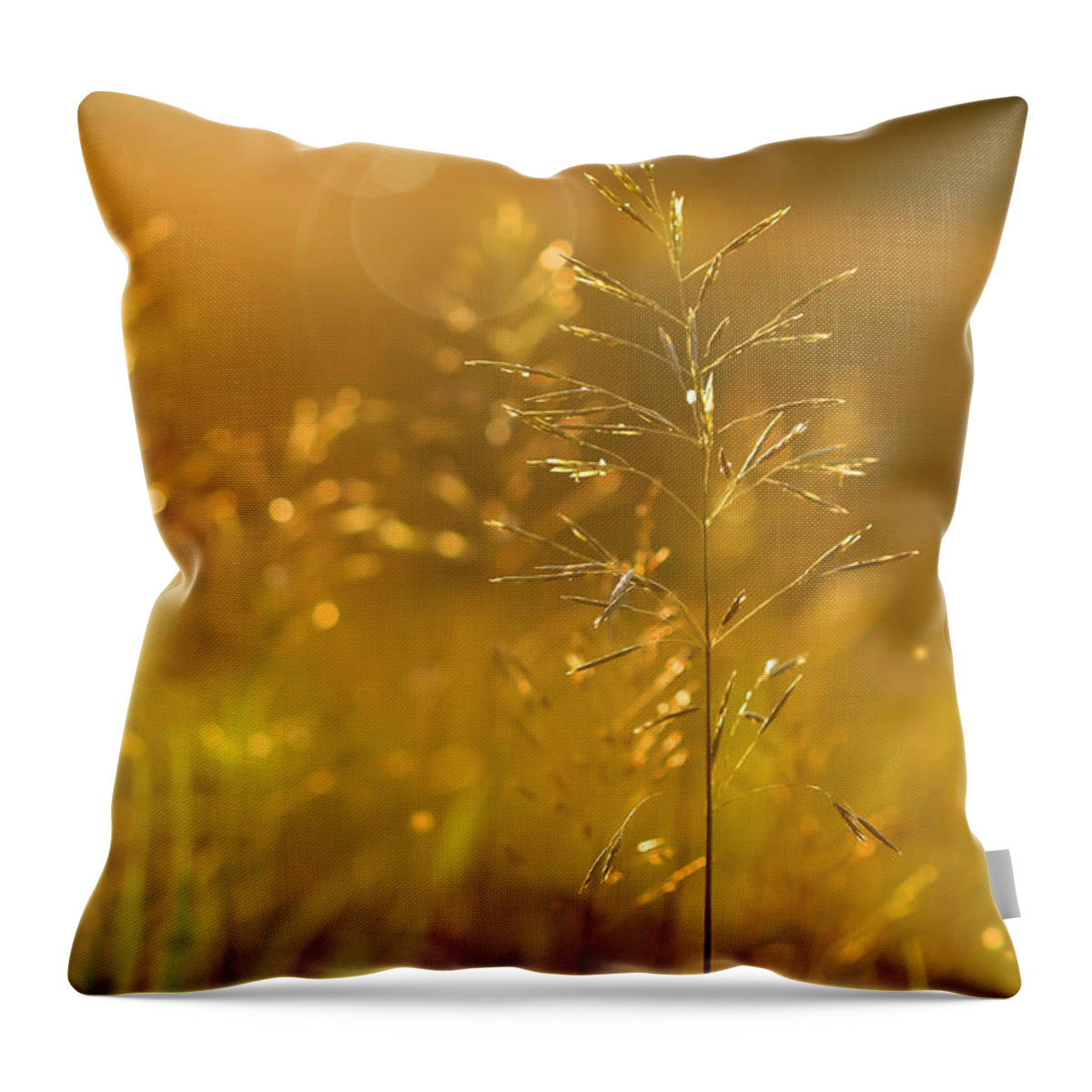 Afternoon Throw Pillow featuring the digital art Golden glow by Sandra Cunningham