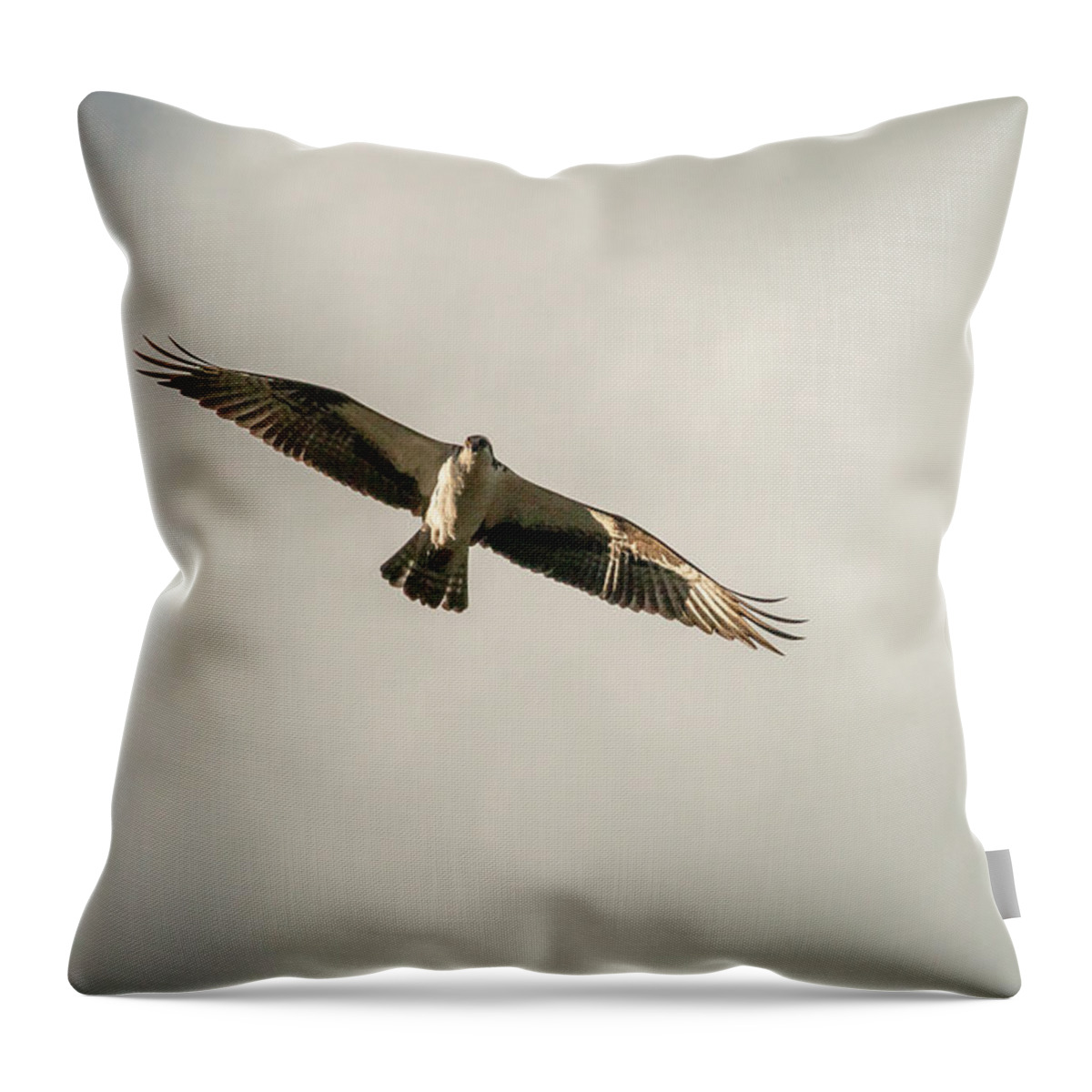 Nature Throw Pillow featuring the photograph Golden Hour Hunt by Mike Herron