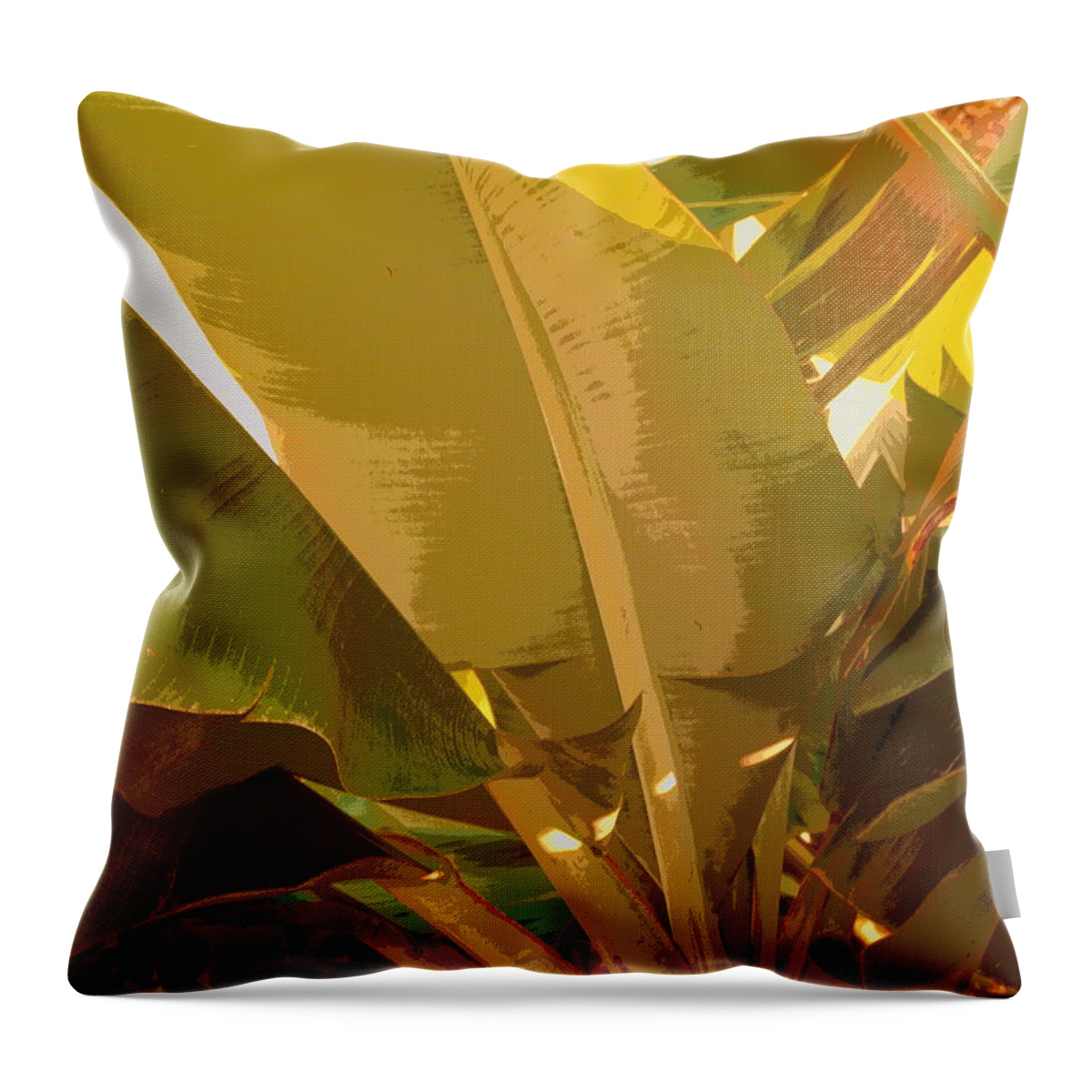 Nature Throw Pillow featuring the photograph Golden Hour Plant by Florene Welebny