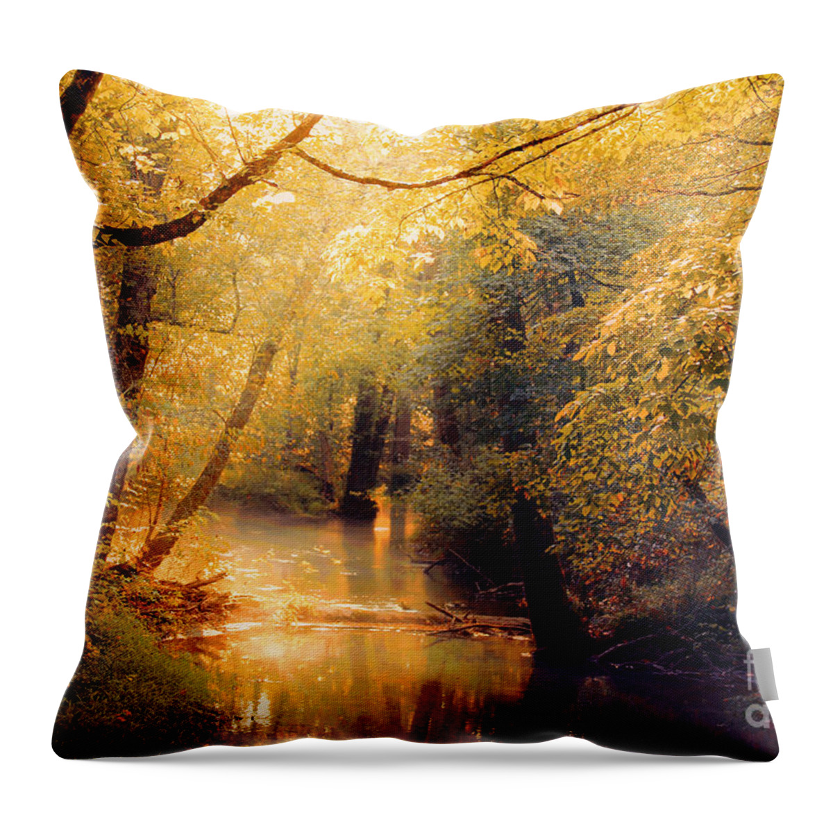 Gold Throw Pillow featuring the photograph Golden Light by Geraldine DeBoer