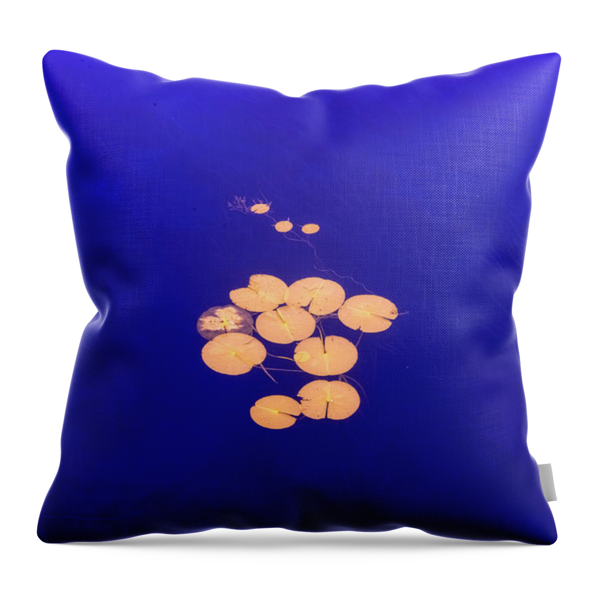 St Lawrence Seaway Throw Pillow featuring the photograph Golden Lilypads by Tom Singleton