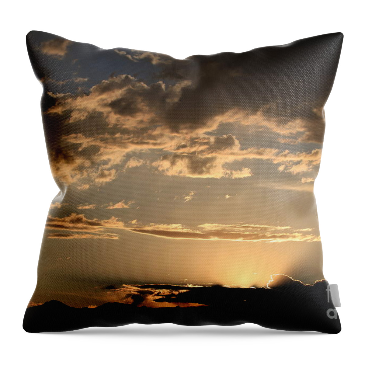 Sun Rise Throw Pillow featuring the photograph Golden Morning by Edward R Wisell