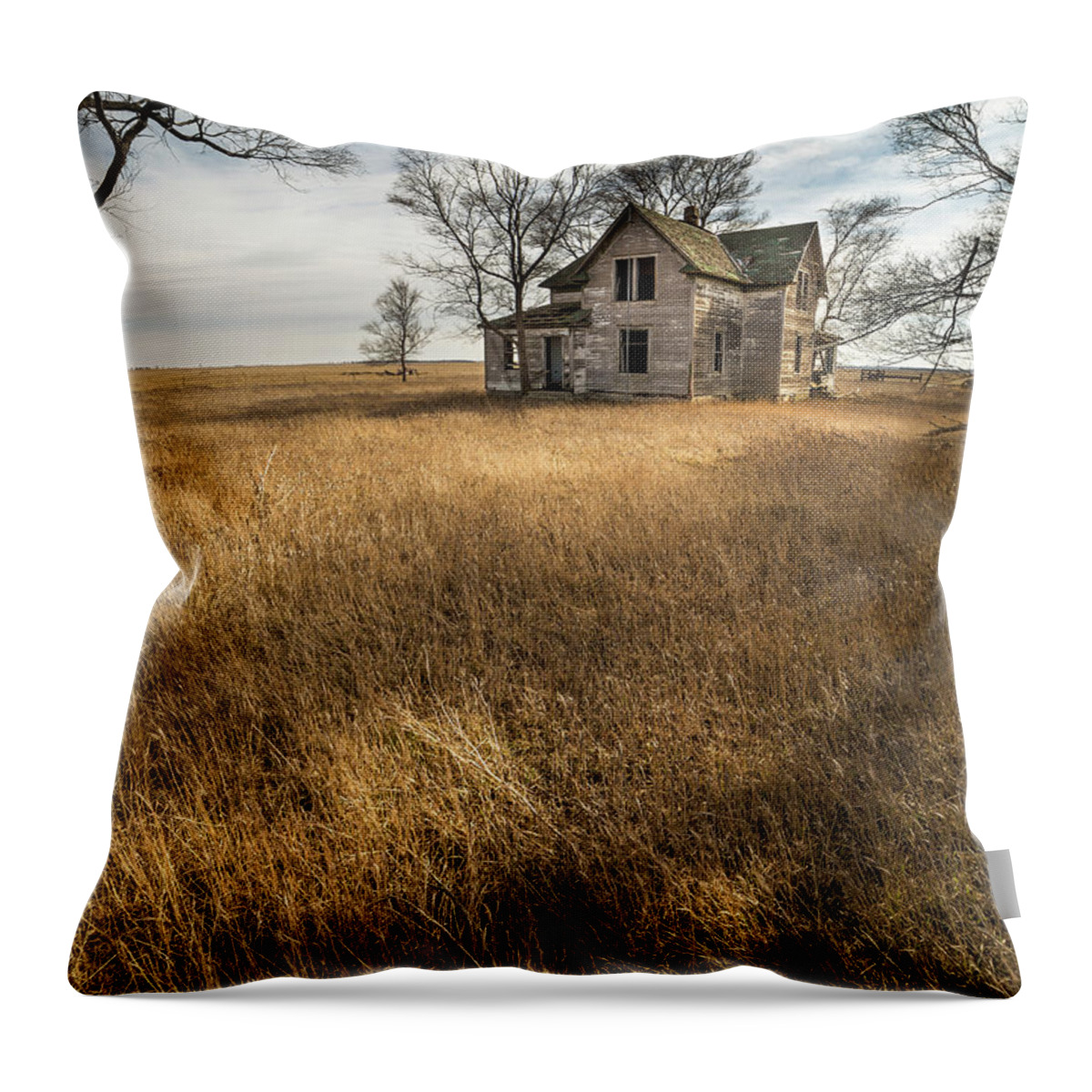 Prairie Throw Pillow featuring the photograph Golden Prairie by Aaron J Groen