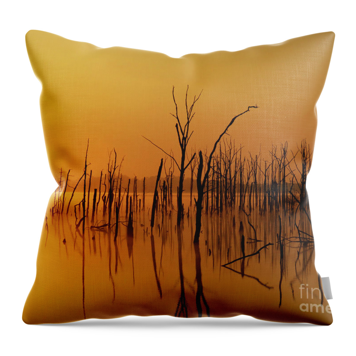 Gold Throw Pillow featuring the photograph Golden Reflections by Roger Becker
