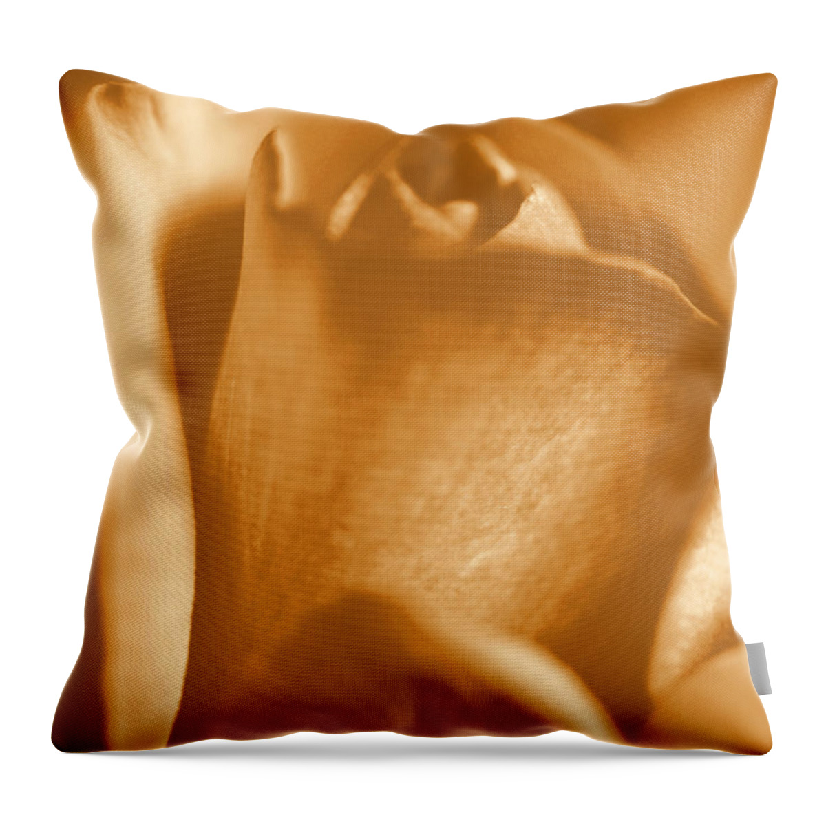 Rose Throw Pillow featuring the photograph Golden Rose Bud by Amy Fose