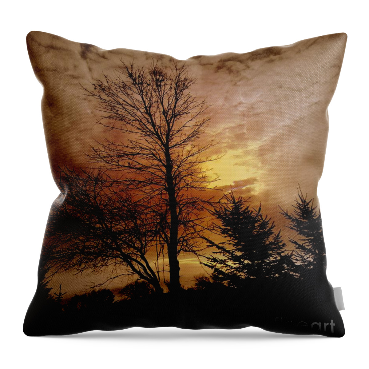 Trees Throw Pillow featuring the photograph Evening Glow by Elfriede Fulda
