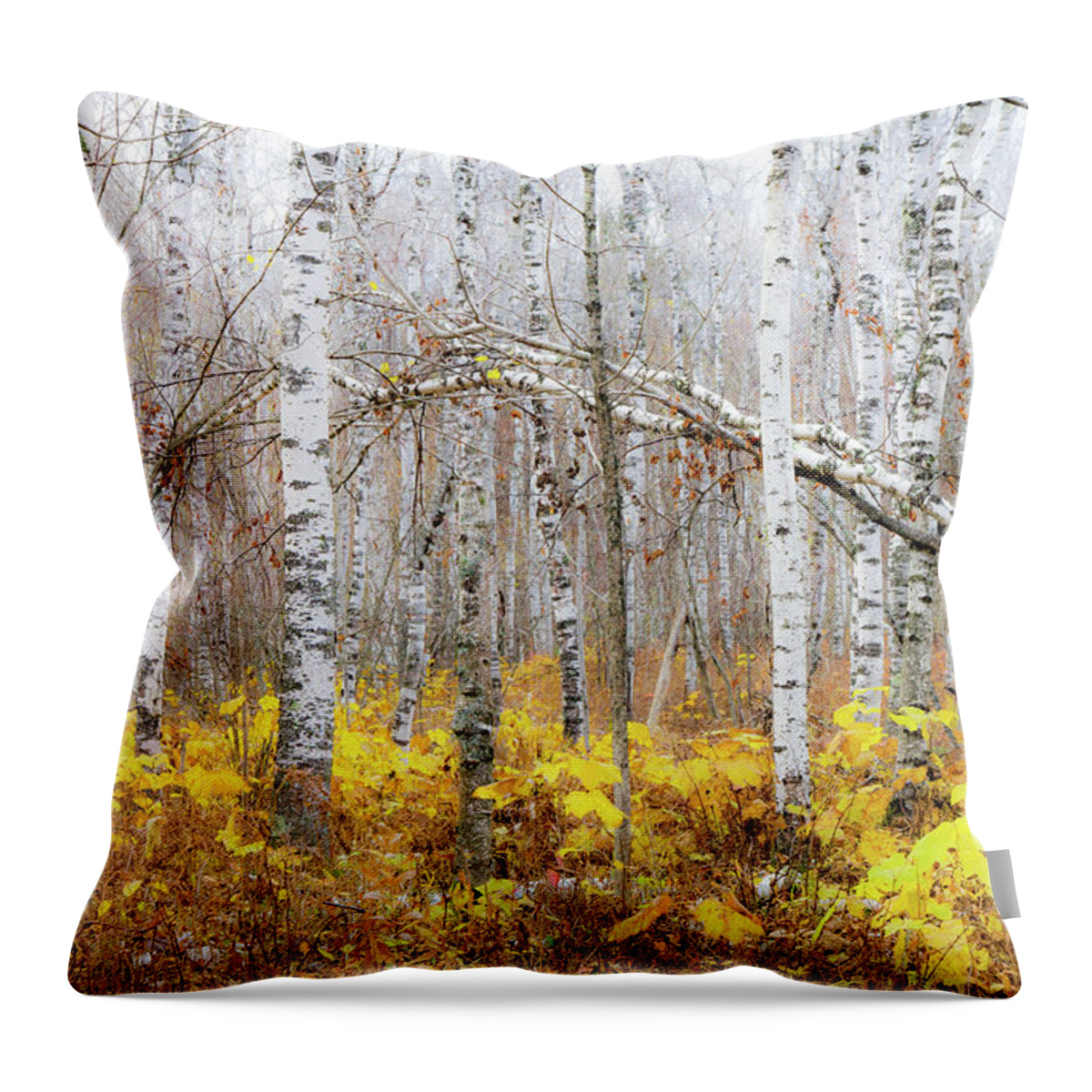 Golden Slumbers Throw Pillow featuring the photograph Golden Slumbers by Mary Amerman