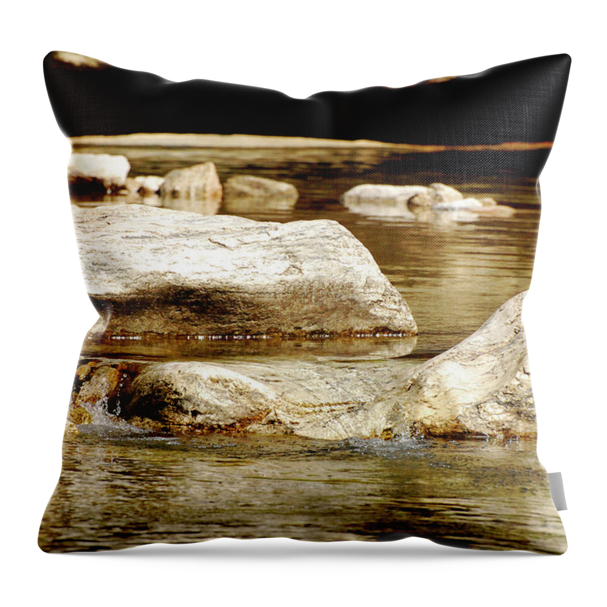 Landscape Throw Pillow featuring the photograph Golden Stream by Nancy Landry