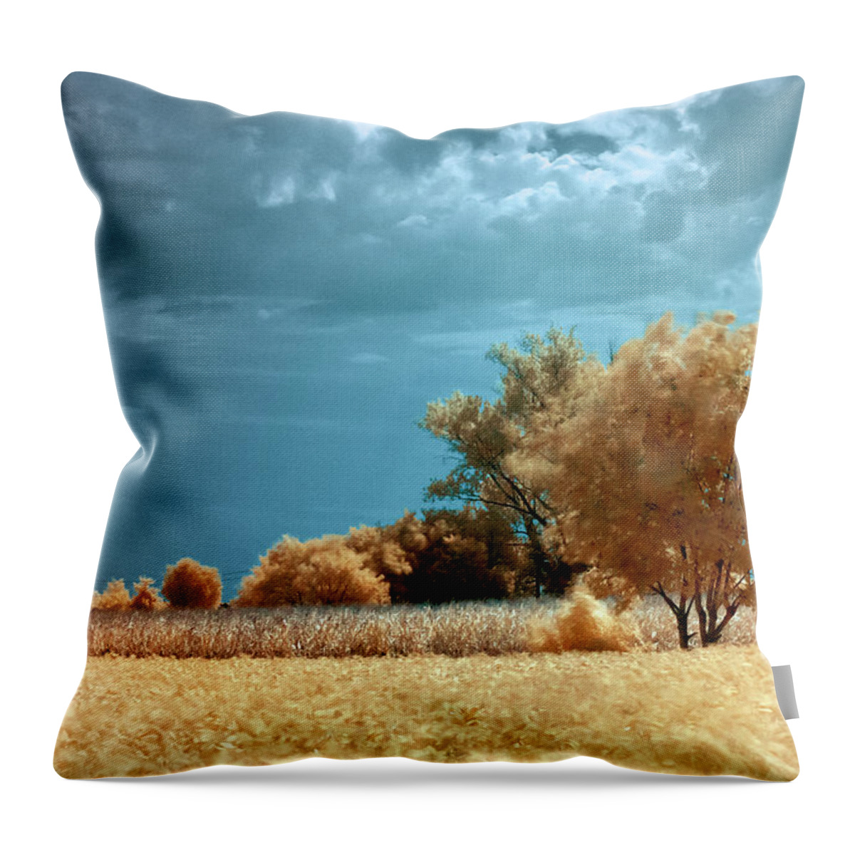 Landscape Throw Pillow featuring the photograph Golden summerscape by Helga Novelli