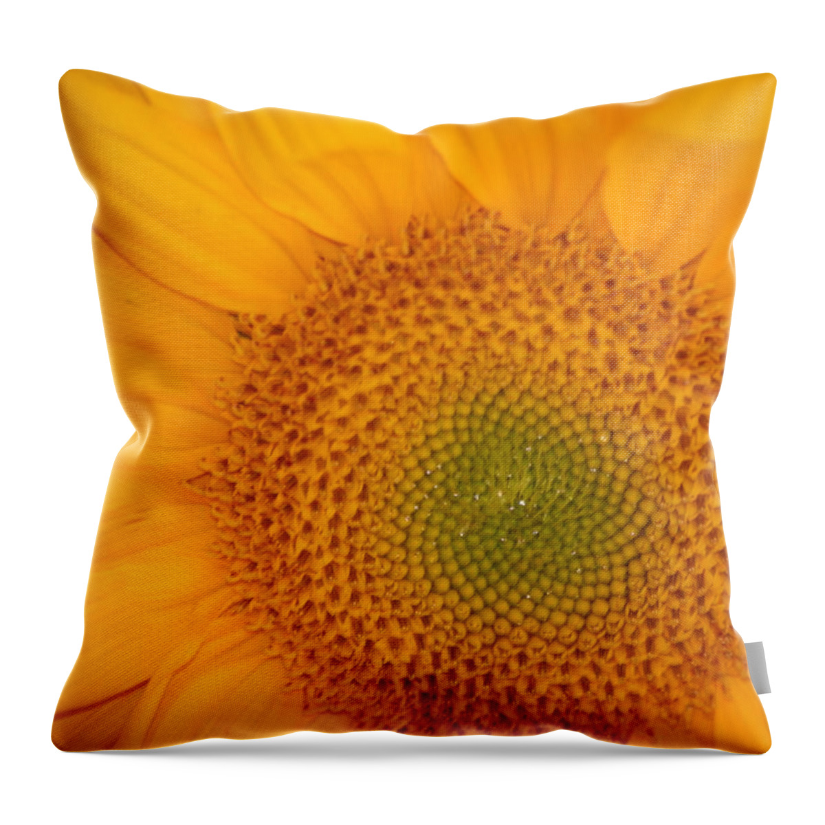 Sunflower Throw Pillow featuring the photograph Golden Sunflower by Liz Vernand