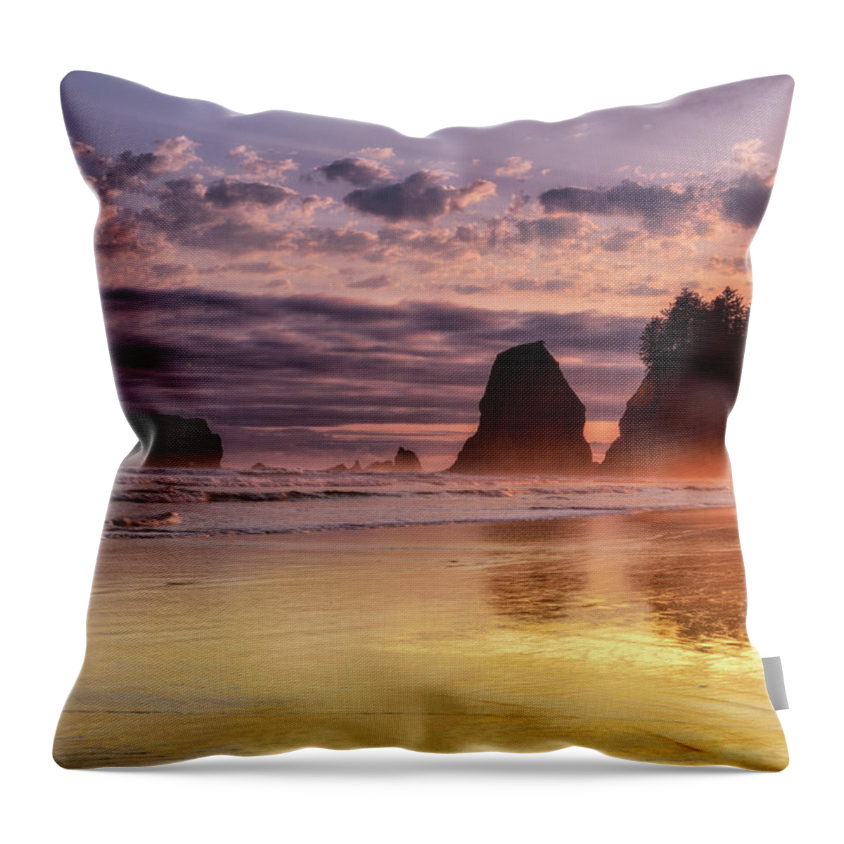 Beach Throw Pillow featuring the photograph Golden Sunset by Spencer McDonald