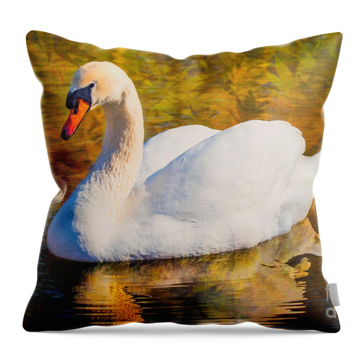 Mute Swan Throw Pillow featuring the photograph Golden Swan by Geraldine DeBoer