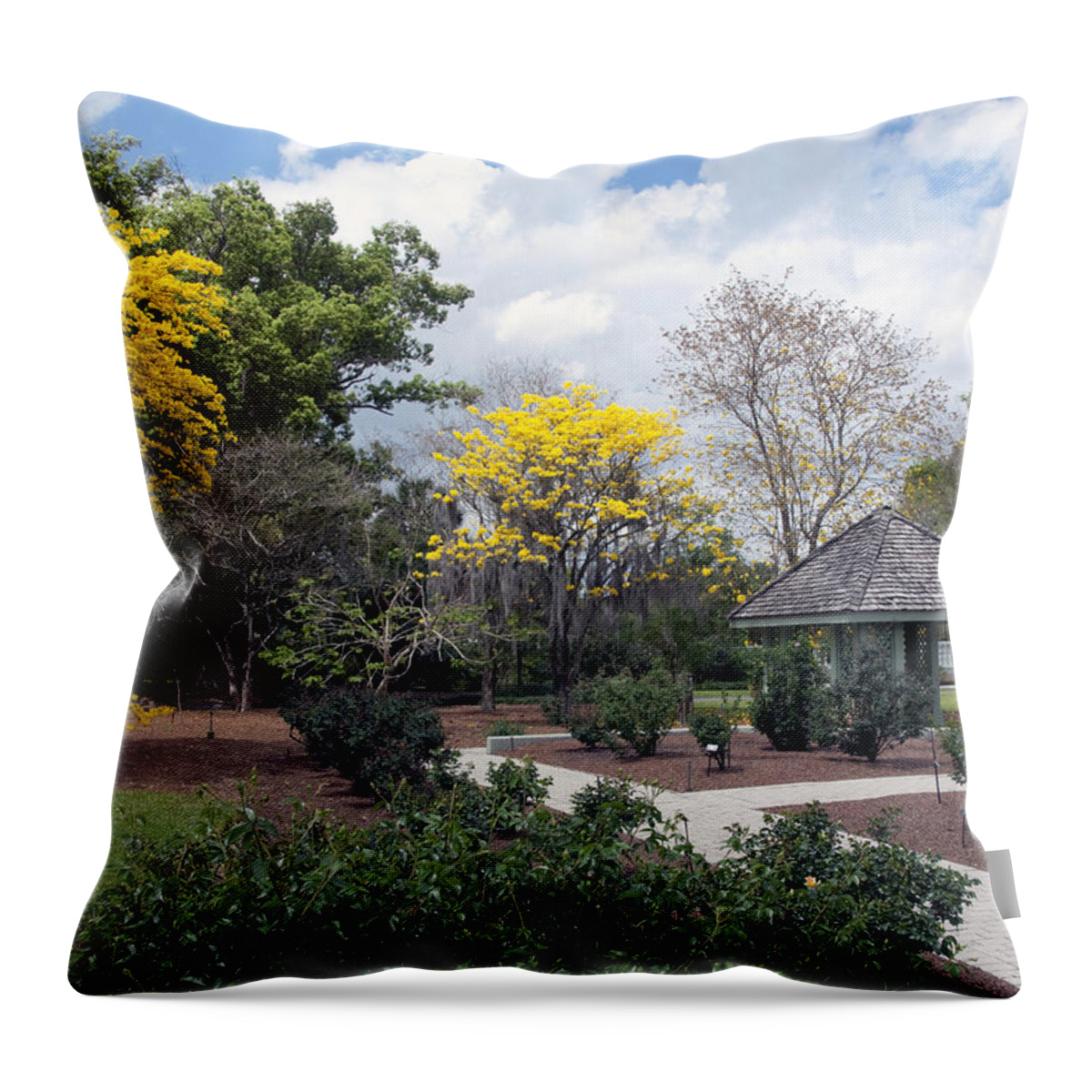 Golden Throw Pillow featuring the photograph Golden Trumpet Trees by Allan Hughes