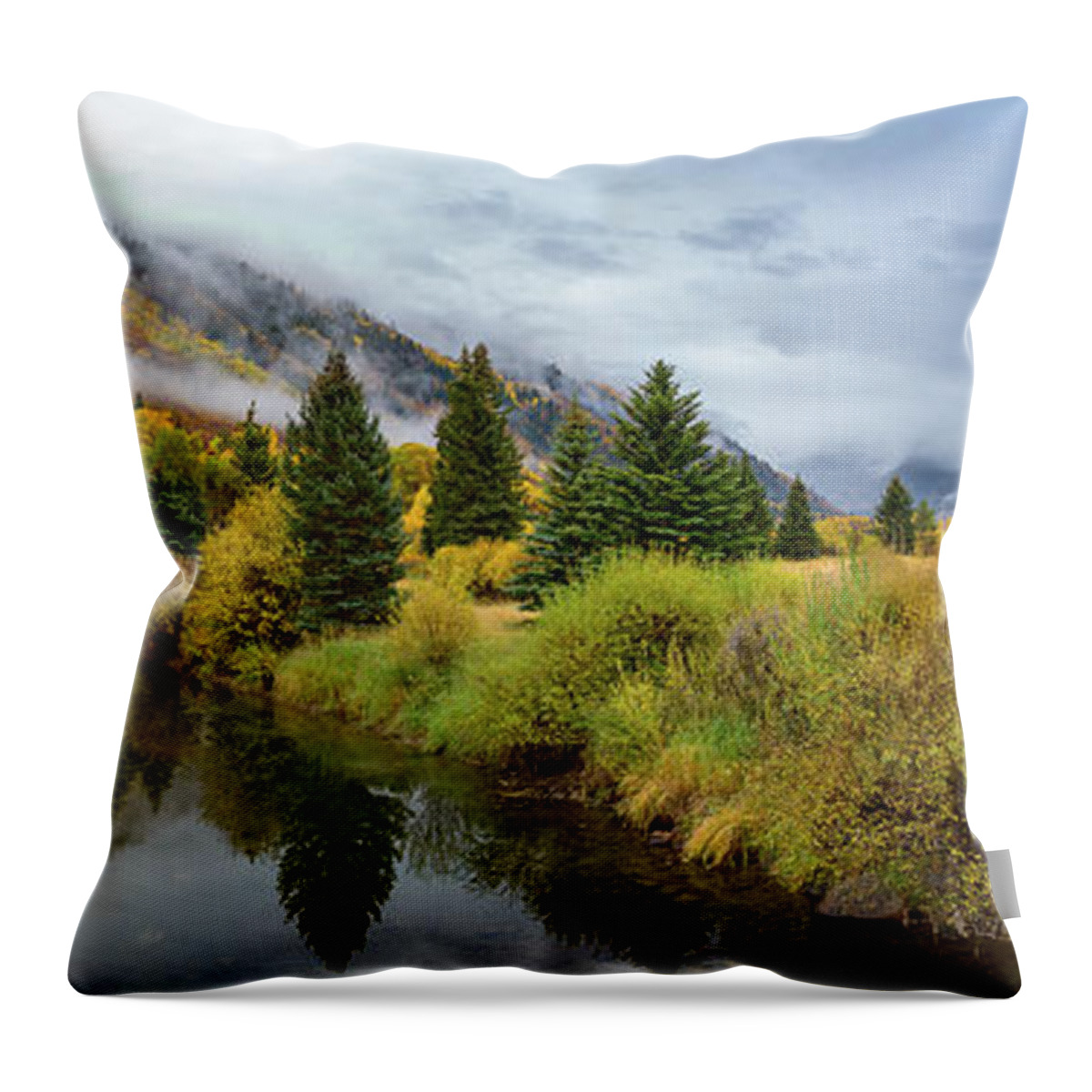Colorado Throw Pillow featuring the photograph Golden Valley by Tim Stanley