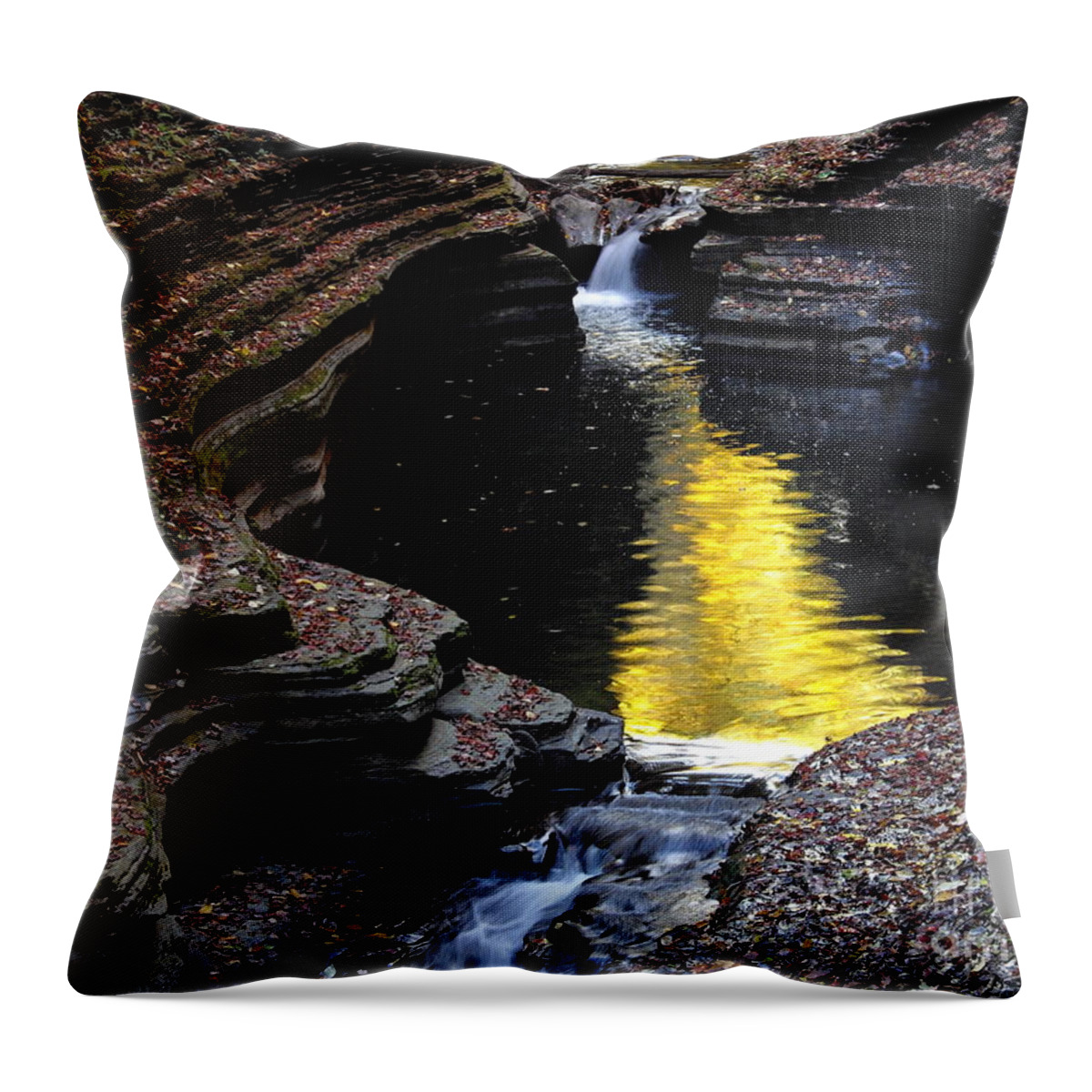 Gold Throw Pillow featuring the photograph Golden Water by Vilas Malankar