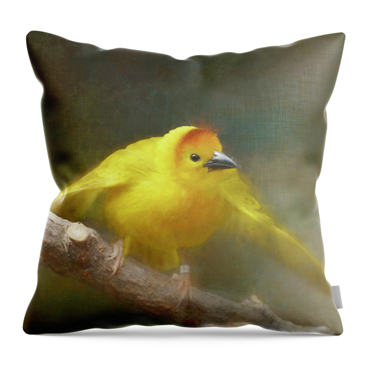 Yellow Throw Pillow featuring the photograph Golden Weaver - Digital Painting by Maria Angelica Maira