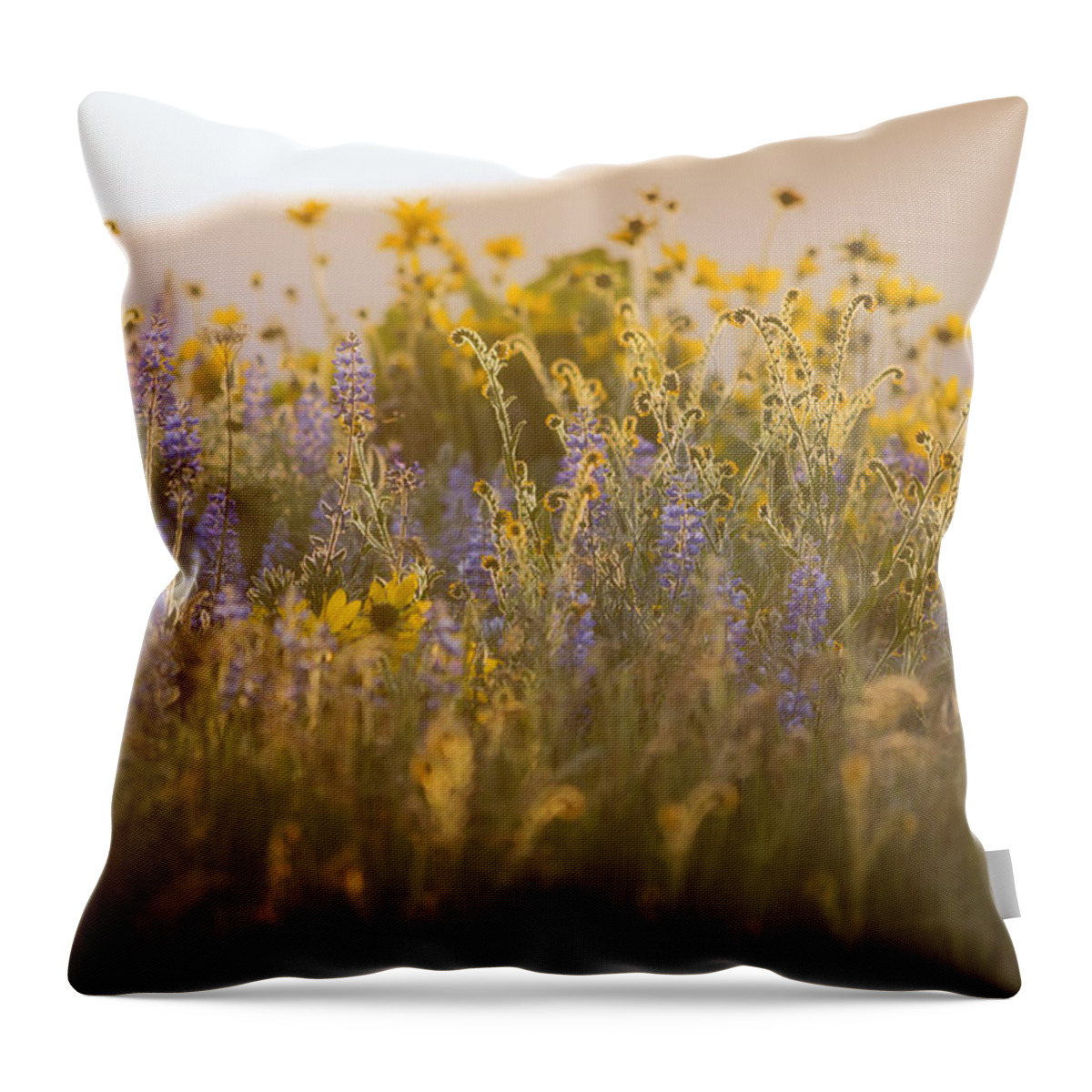 Flora Throw Pillow featuring the photograph Golden Wildflowers by Jon Ares