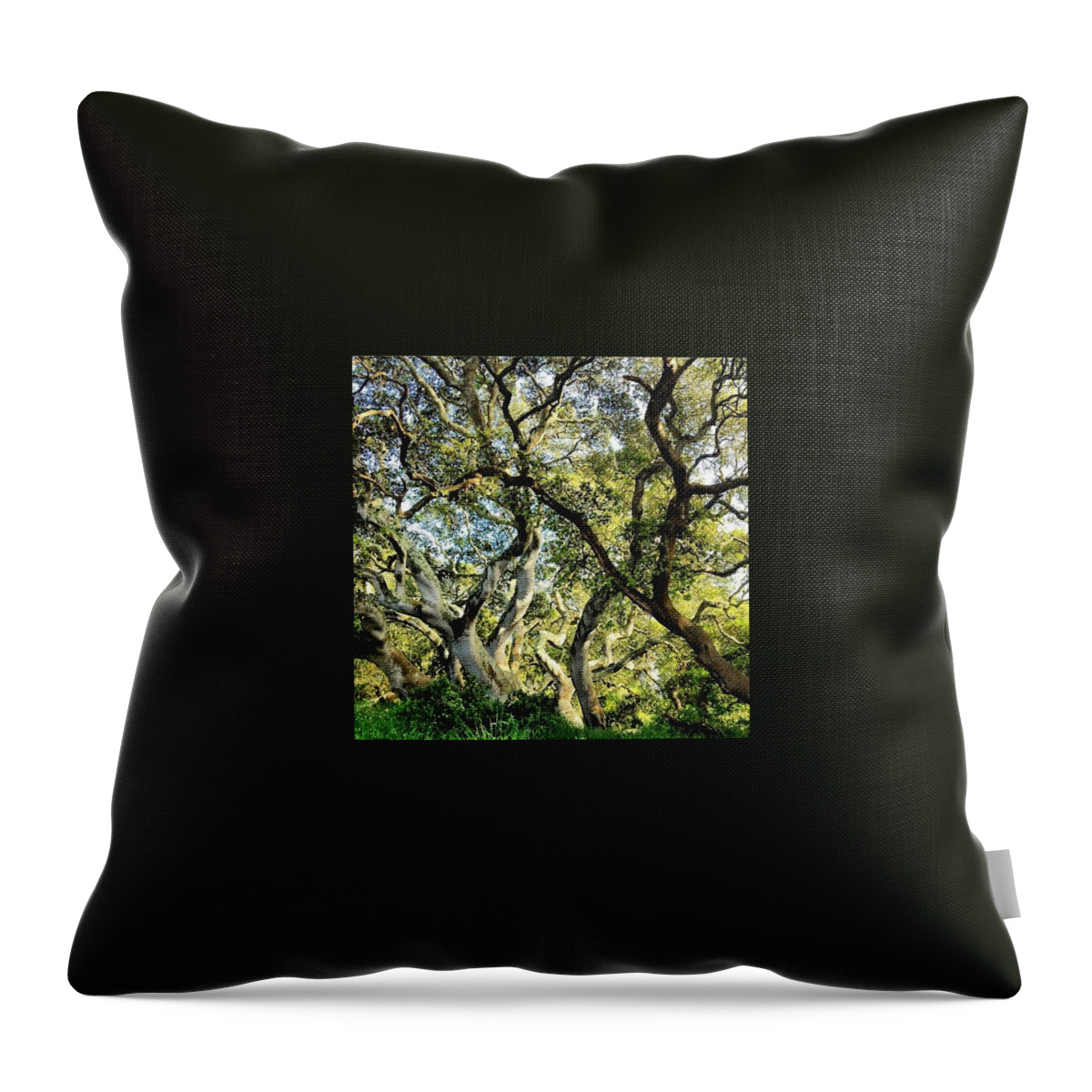Golden Gate Park Throw Pillow featuring the photograph Twisted Foliage by Courtney Ross