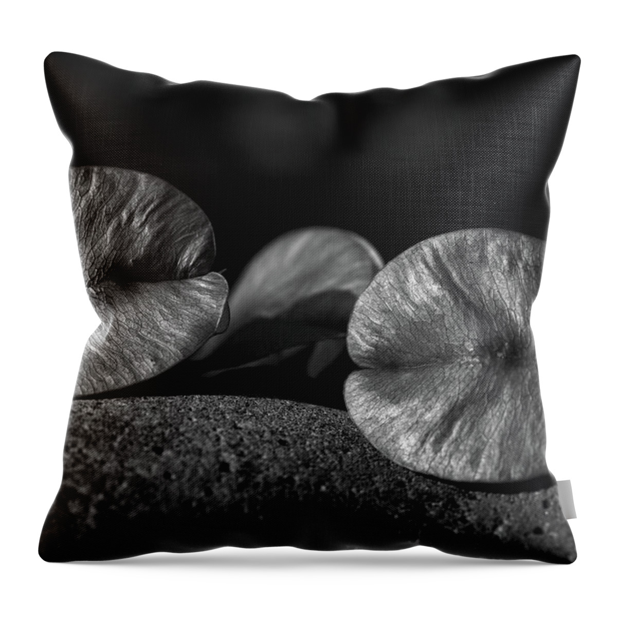 Goldenrain Tree Throw Pillow featuring the photograph Goldenrain leaves 2 by Richard Rizzo
