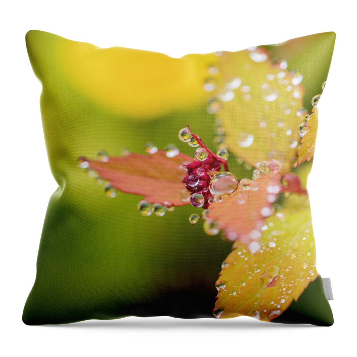 Astoria Throw Pillow featuring the photograph Goldflame in the Mist by Robert Potts