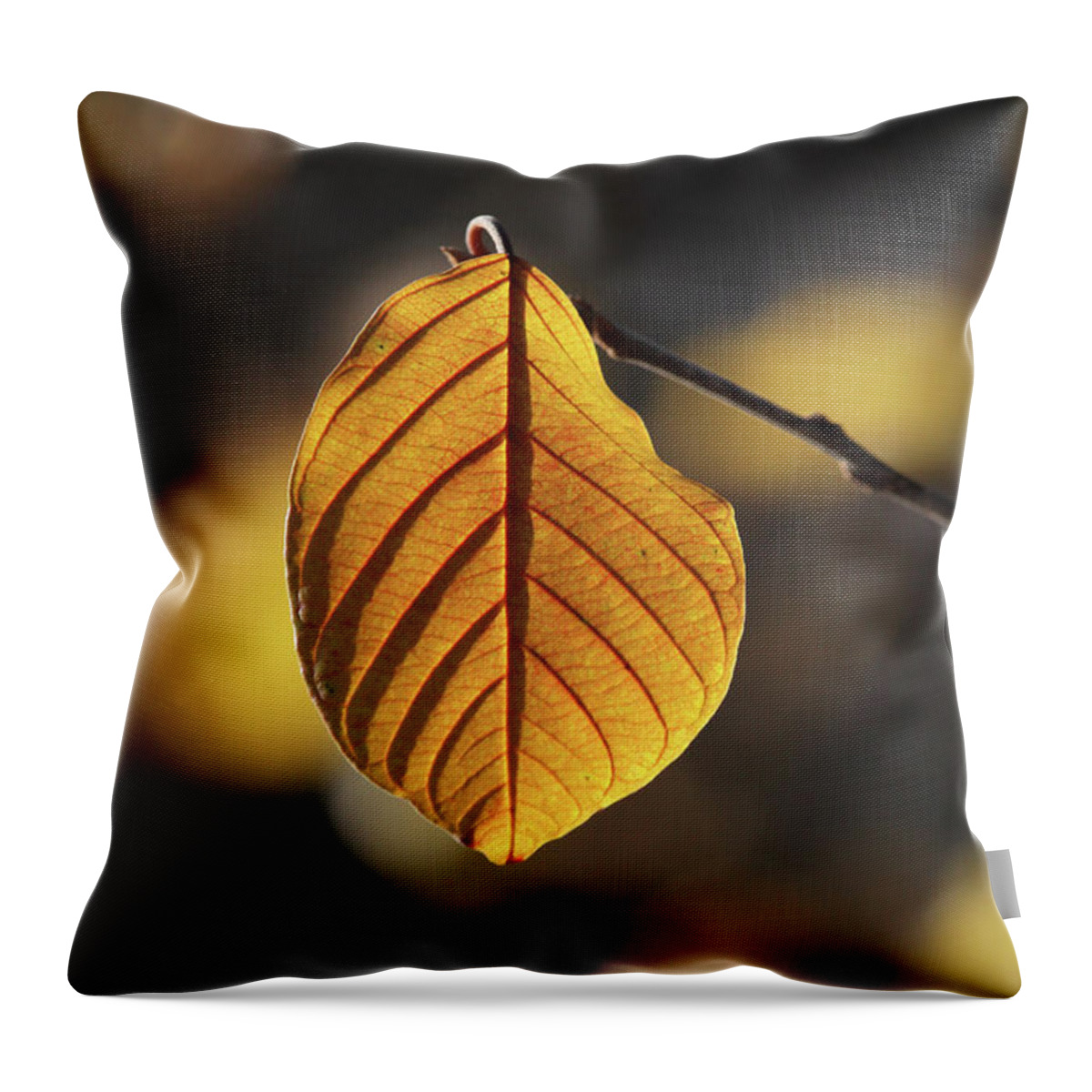 Leaf Throw Pillow featuring the photograph Goldshine by Doris Potter