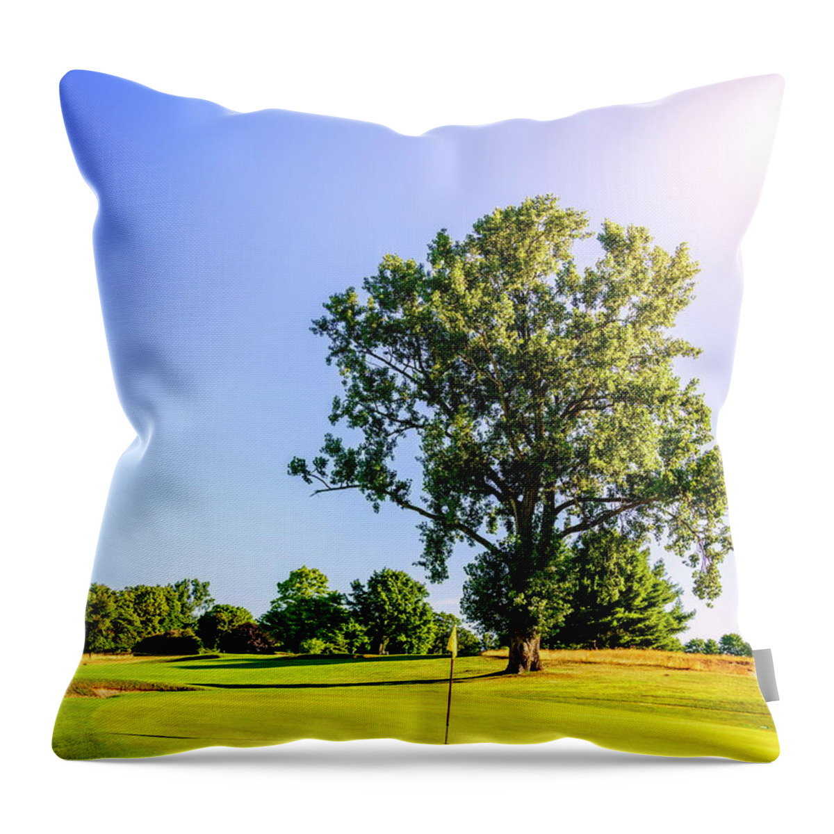 America Throw Pillow featuring the photograph Golf course by Alexey Stiop