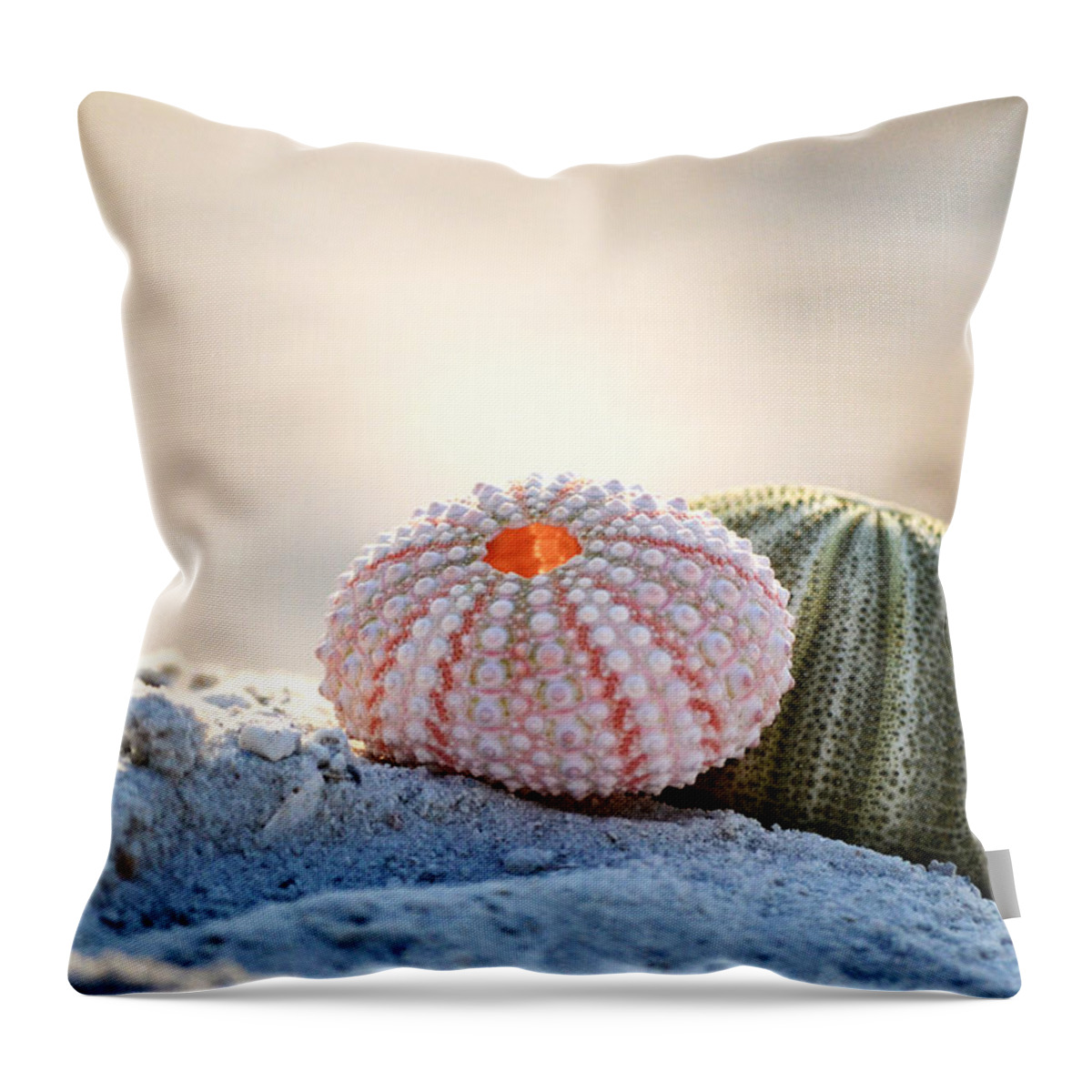 Urchin Throw Pillow featuring the photograph Gone Shelling by Melanie Moraga