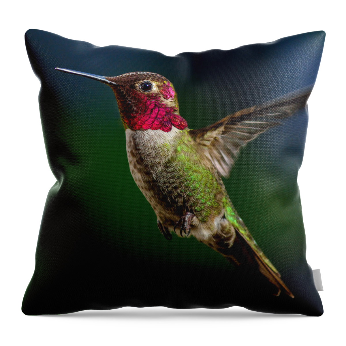 Bird Throw Pillow featuring the photograph Good Friday Visitor by Brian Tada
