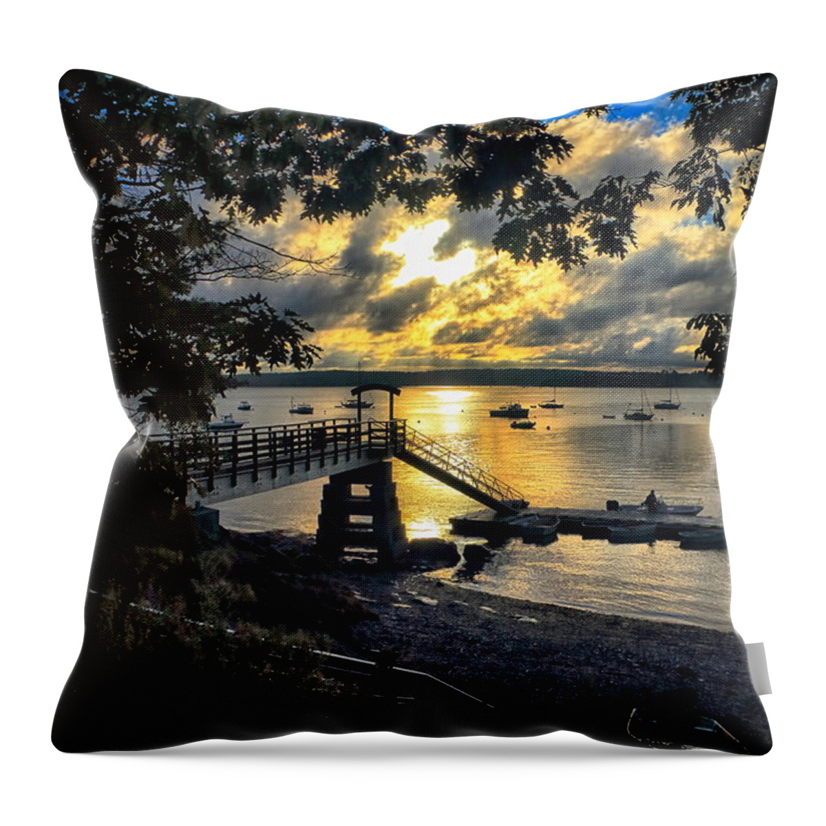 Madeleine Point Throw Pillow featuring the photograph Good Night Madeleine Point by Elizabeth Dow
