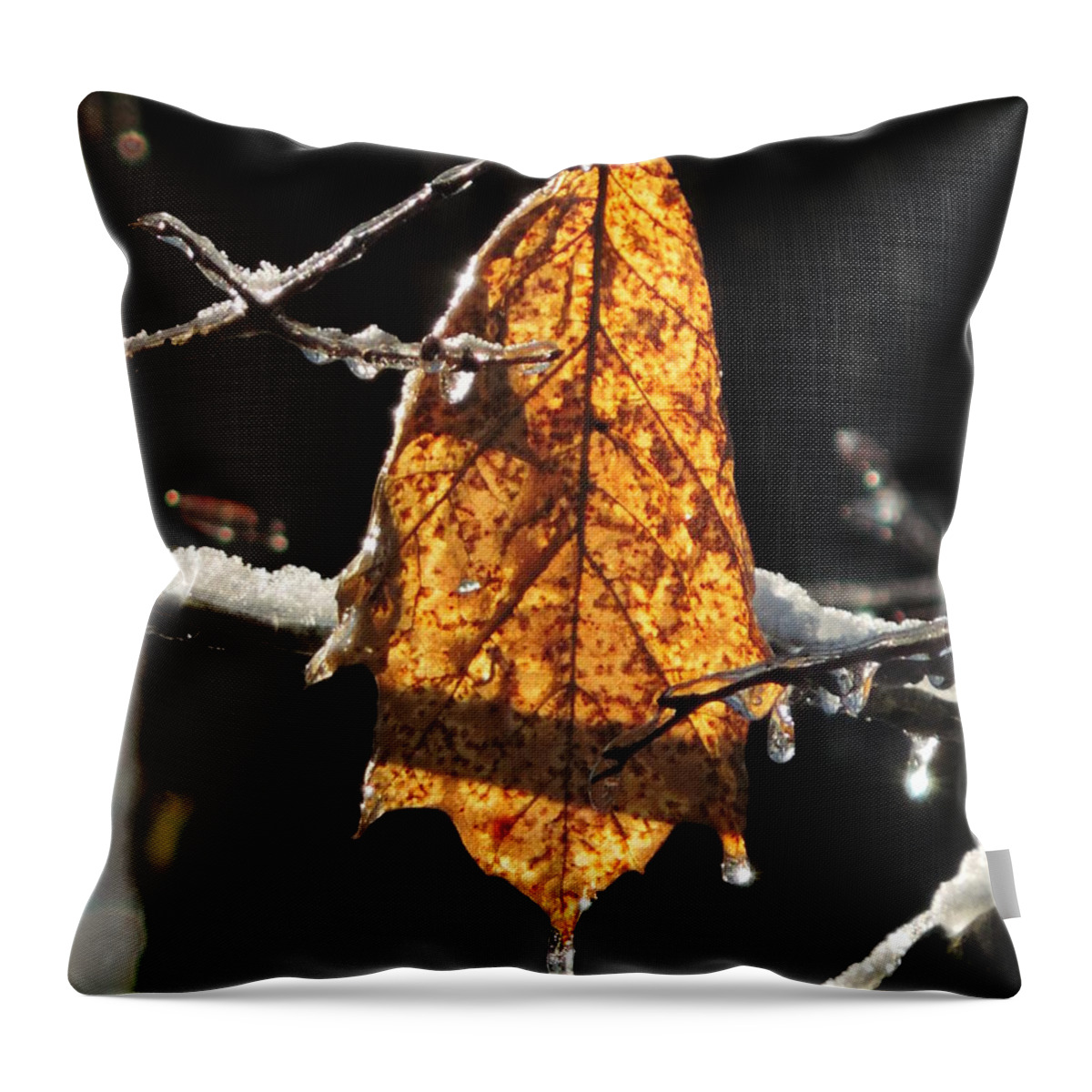 Vertical Throw Pillow featuring the photograph Goodbye to Autumn by Bill Tomsa