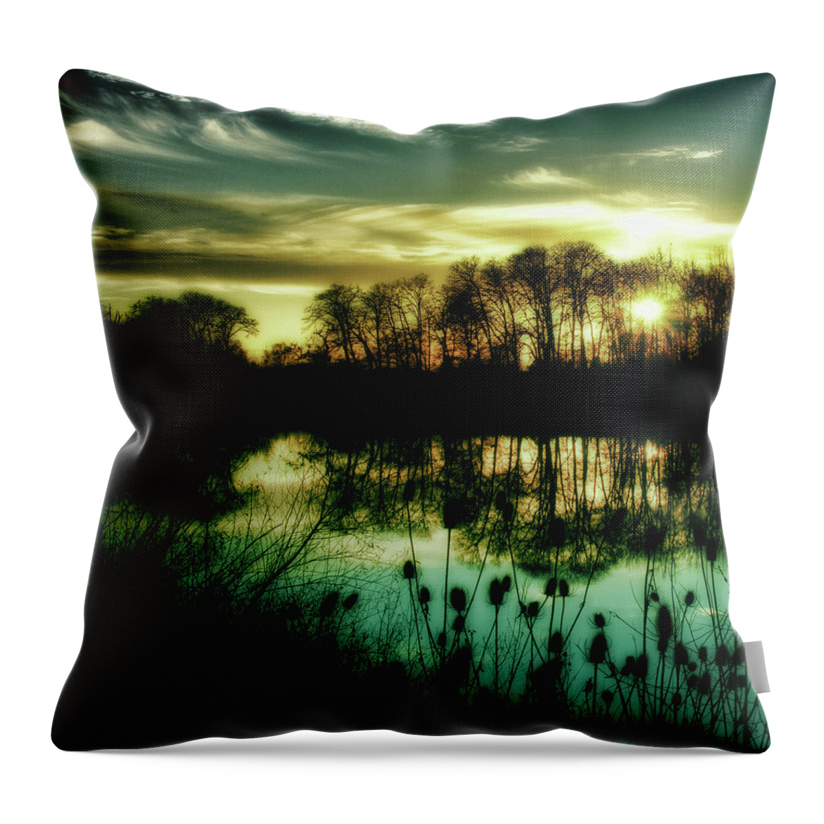 Sunset Throw Pillow featuring the photograph Goodbye to Today by Bonnie Bruno