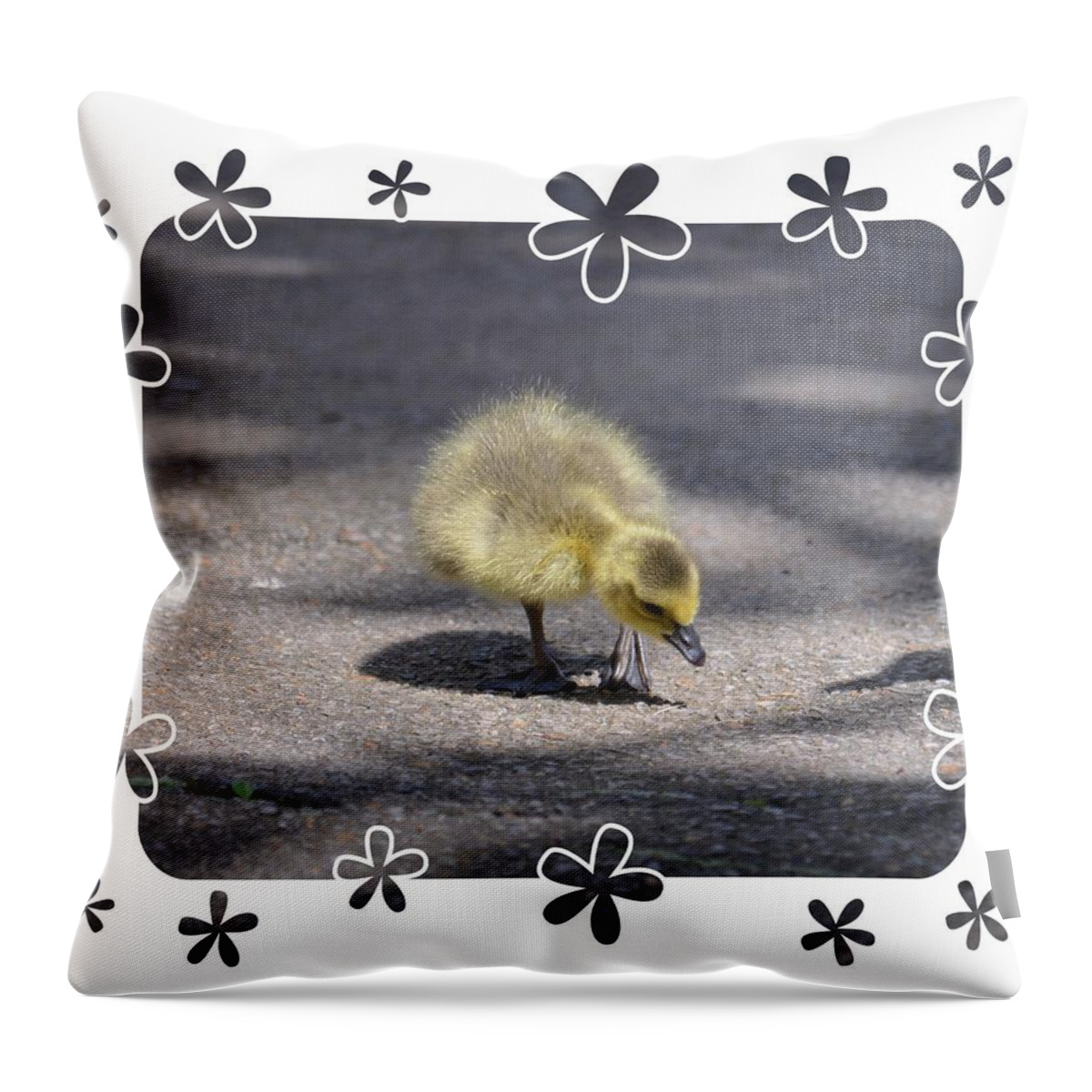 Gosling Ii Throw Pillow featuring the photograph Gosling II by Maria Urso