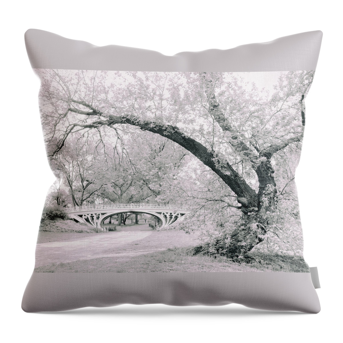 Gothic Bridge Throw Pillow featuring the photograph Gothic Bridge 28 by Jessica Jenney