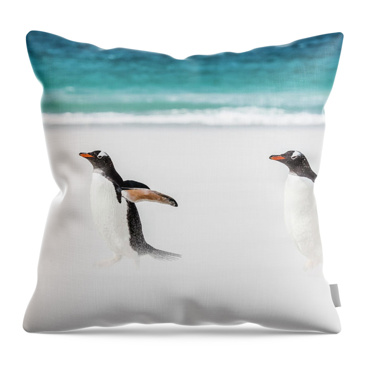 The Falklands Throw Pillow featuring the photograph Gentoo penguins caught in a sand storm. by Usha Peddamatham