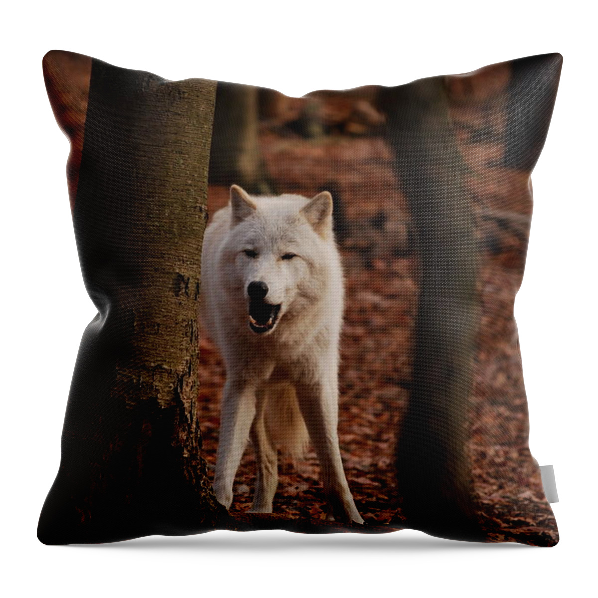 Wolf Throw Pillow featuring the photograph Gotta Laugh by Lori Tambakis
