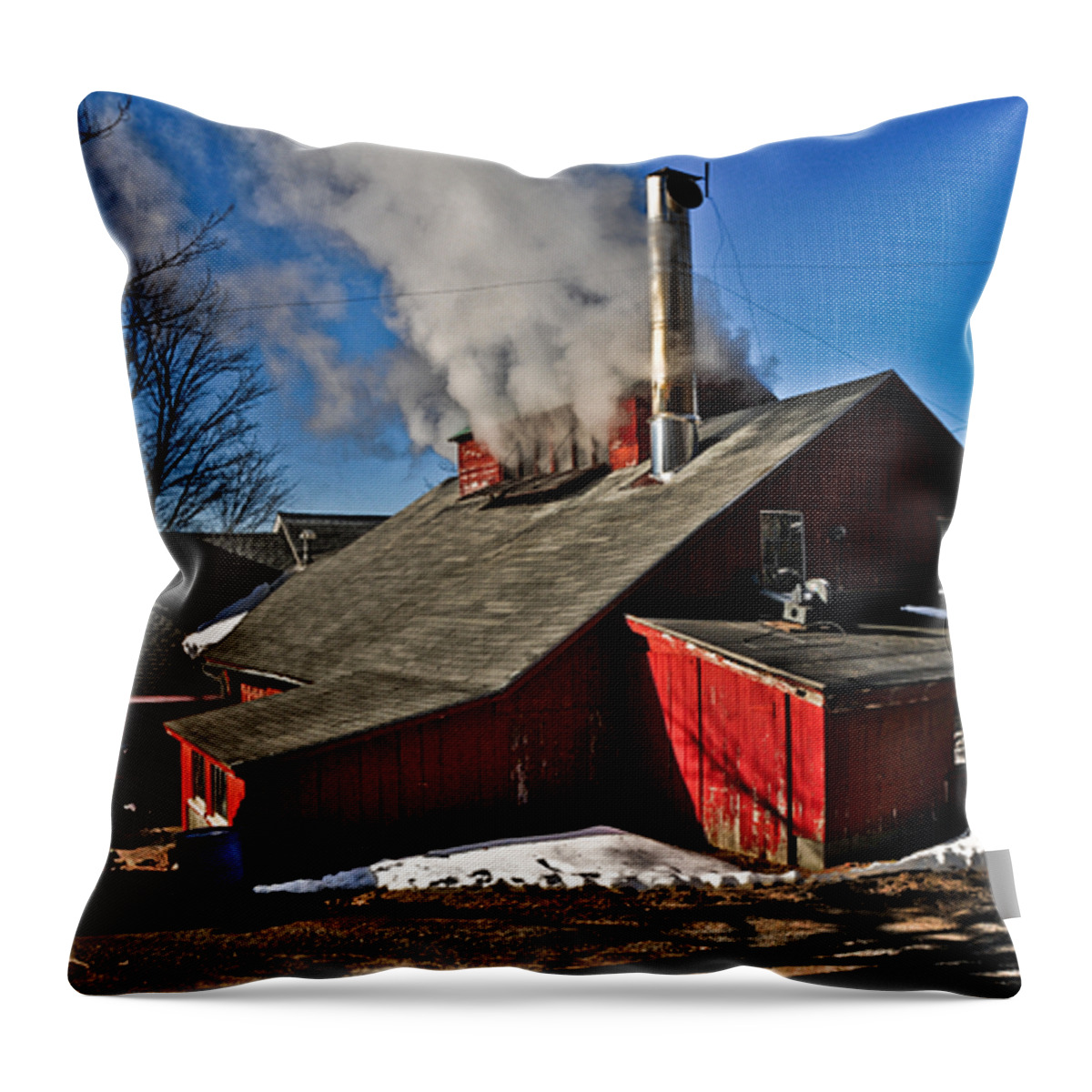 Maple Throw Pillow featuring the photograph Goulds Sugarhouse by Mike Martin