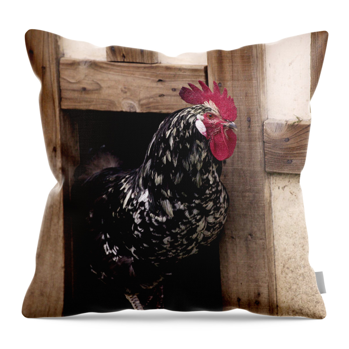 Adult Throw Pillow featuring the photograph Gournay Rooster by Gerard Lacz