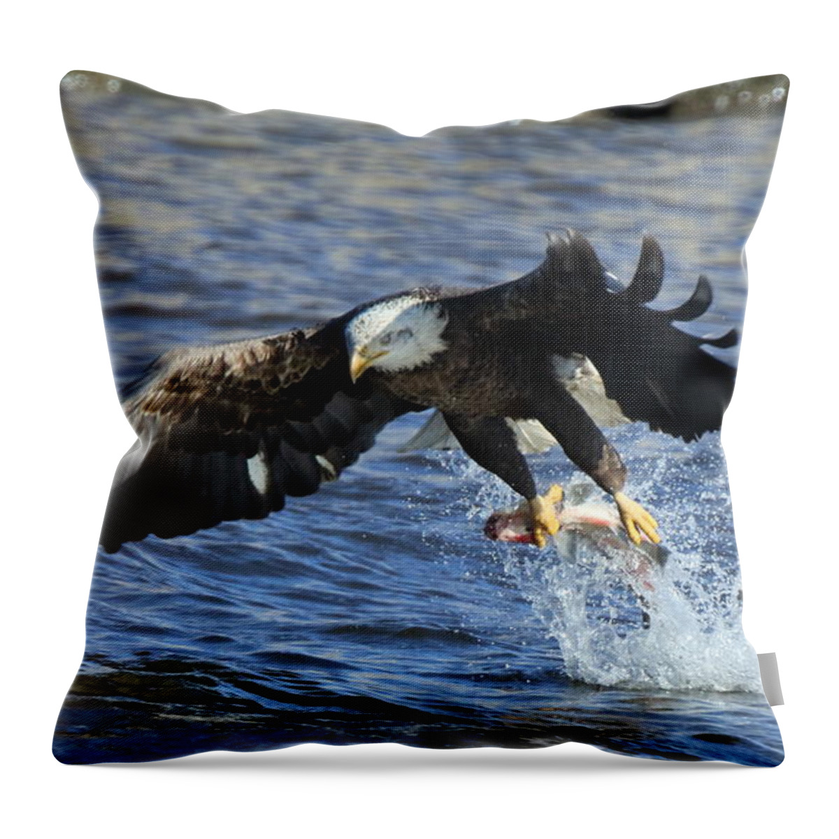 Bald Eagle Throw Pillow featuring the photograph Grabbing some dinner by Coby Cooper