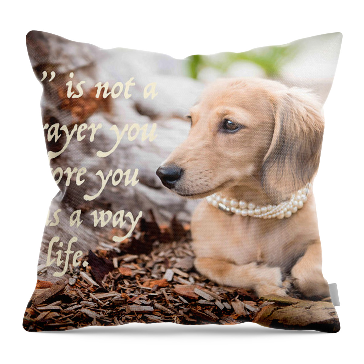 Cityscape Throw Pillow featuring the photograph Grace- A way of life by Italian Art