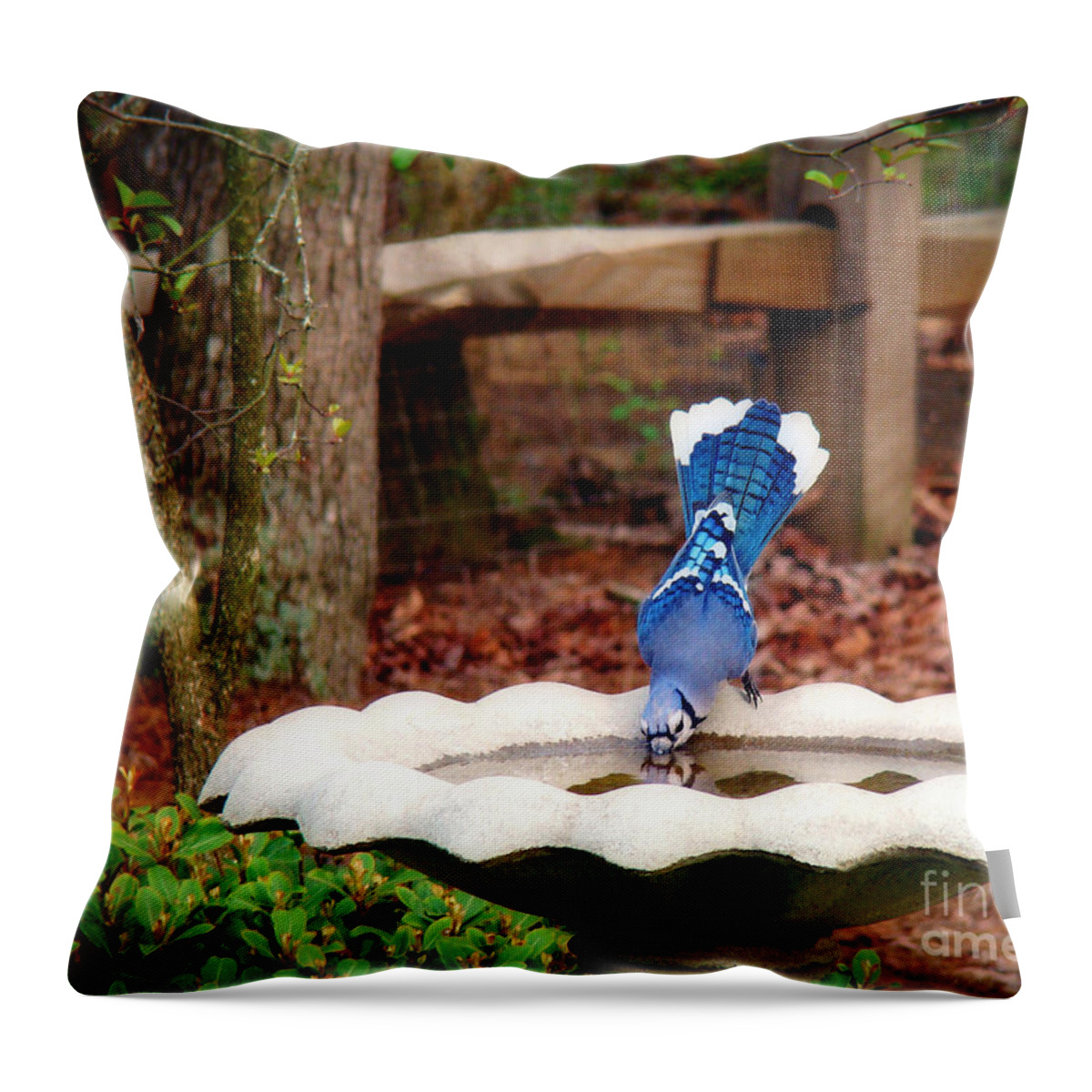 Bird Throw Pillow featuring the photograph Grace and Beauty by Sue Melvin