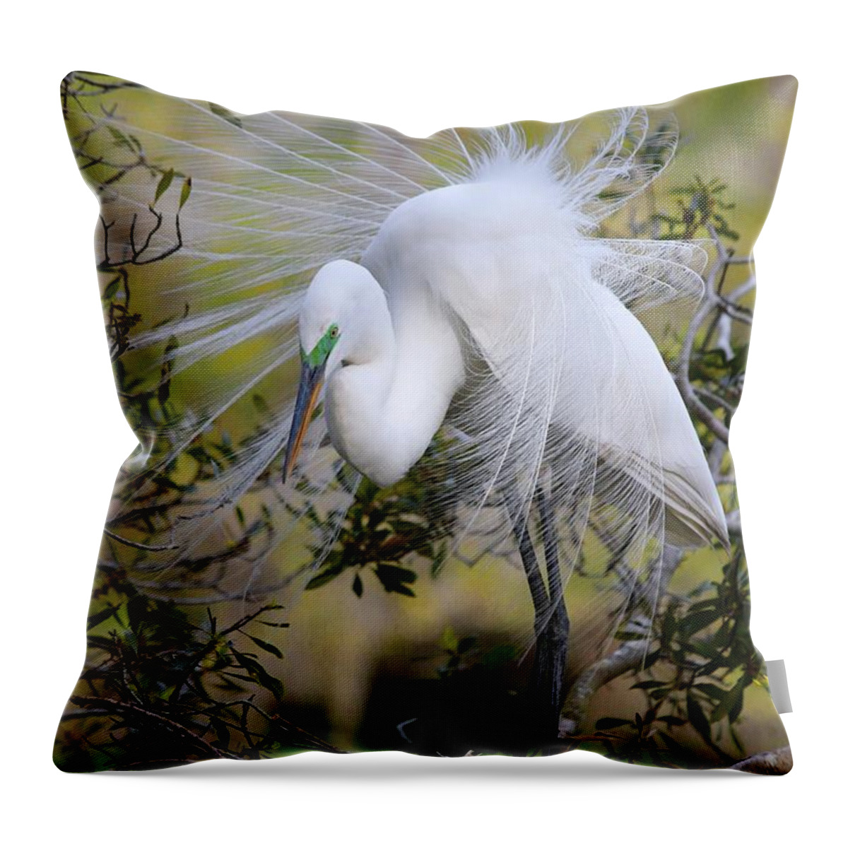 Carol R Montoya Throw Pillow featuring the photograph Grace In Nature by Carol Montoya