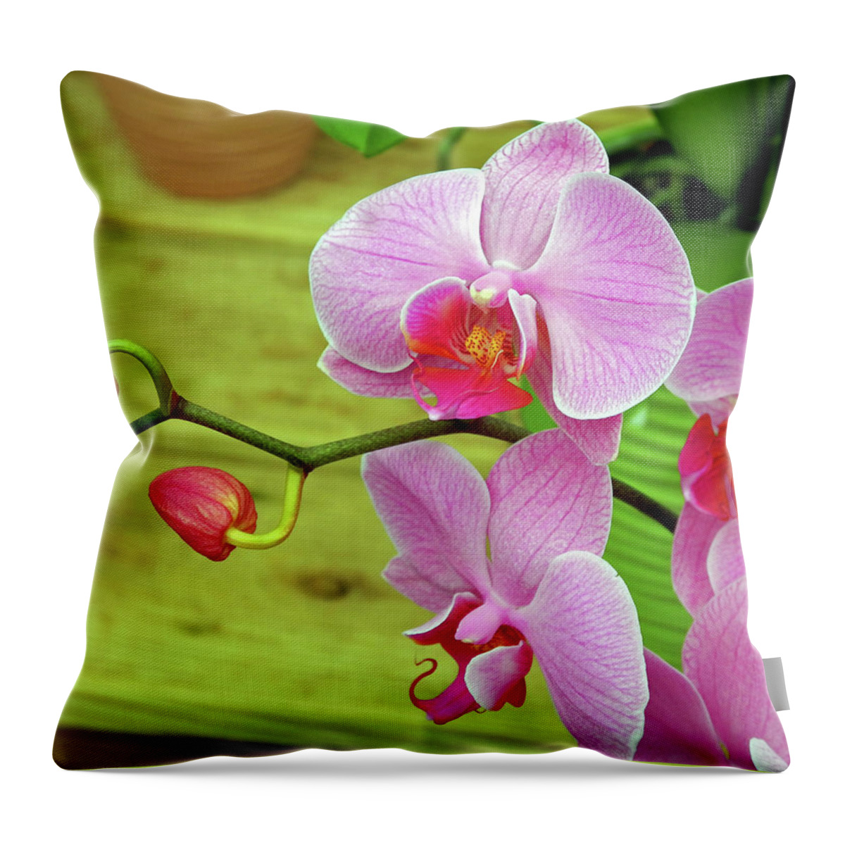 Orchid Throw Pillow featuring the photograph Grace in Space by Lynda Lehmann