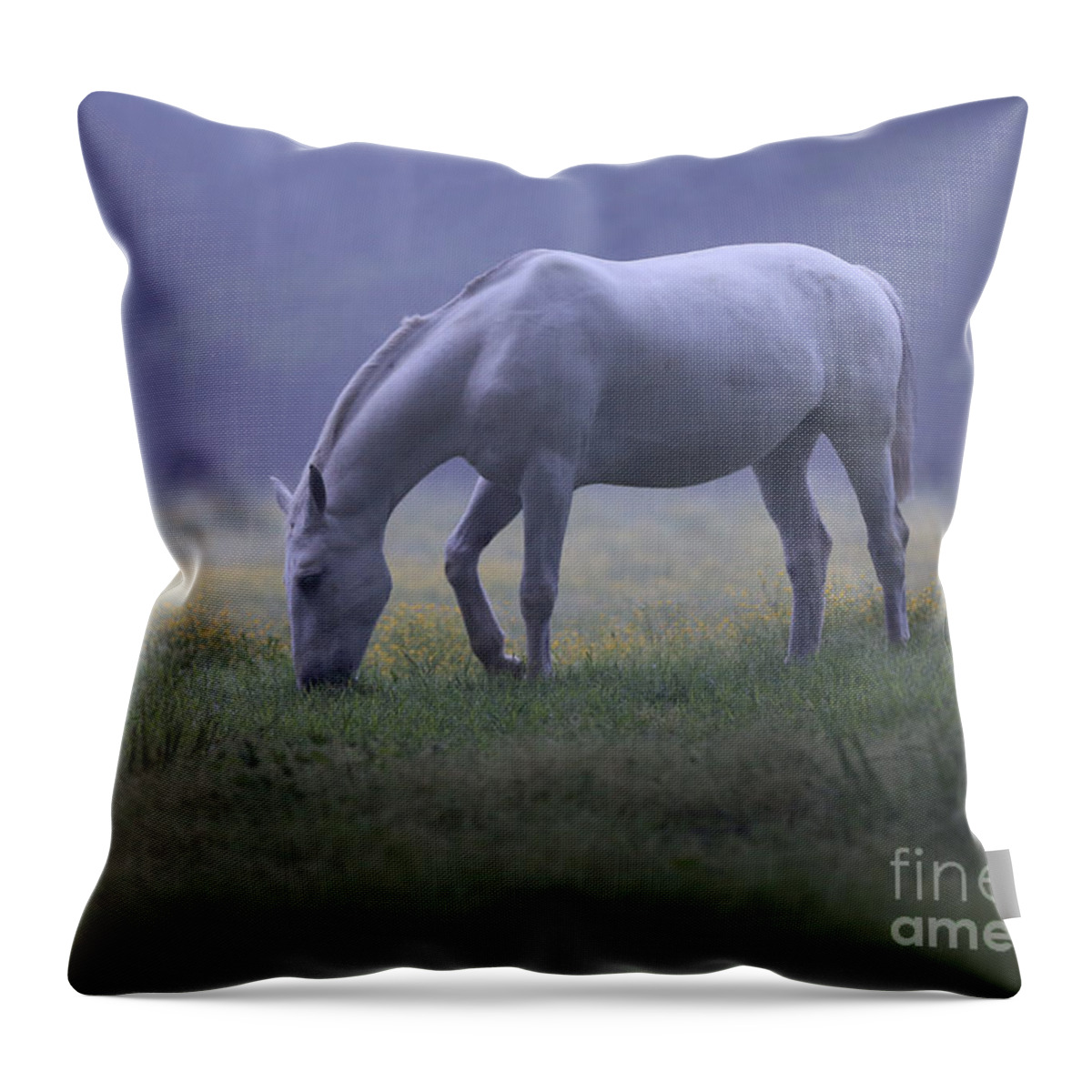 Horse Throw Pillow featuring the photograph Grace by Lara Morrison