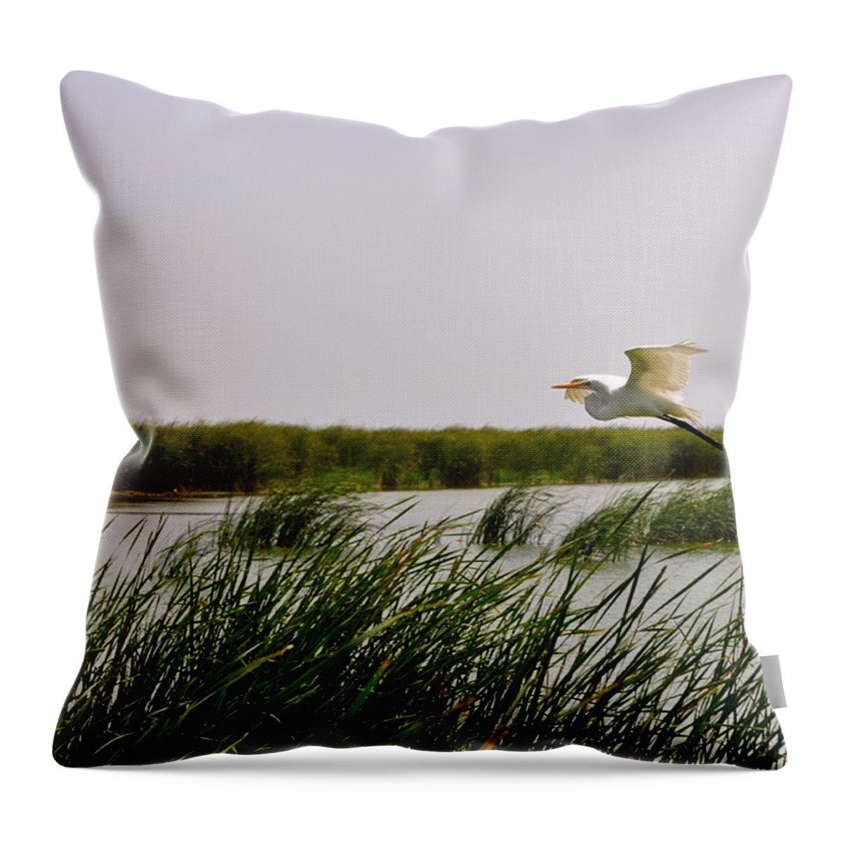 Crane Bird Print Throw Pillow featuring the photograph Graceful Flight by Kristina Deane