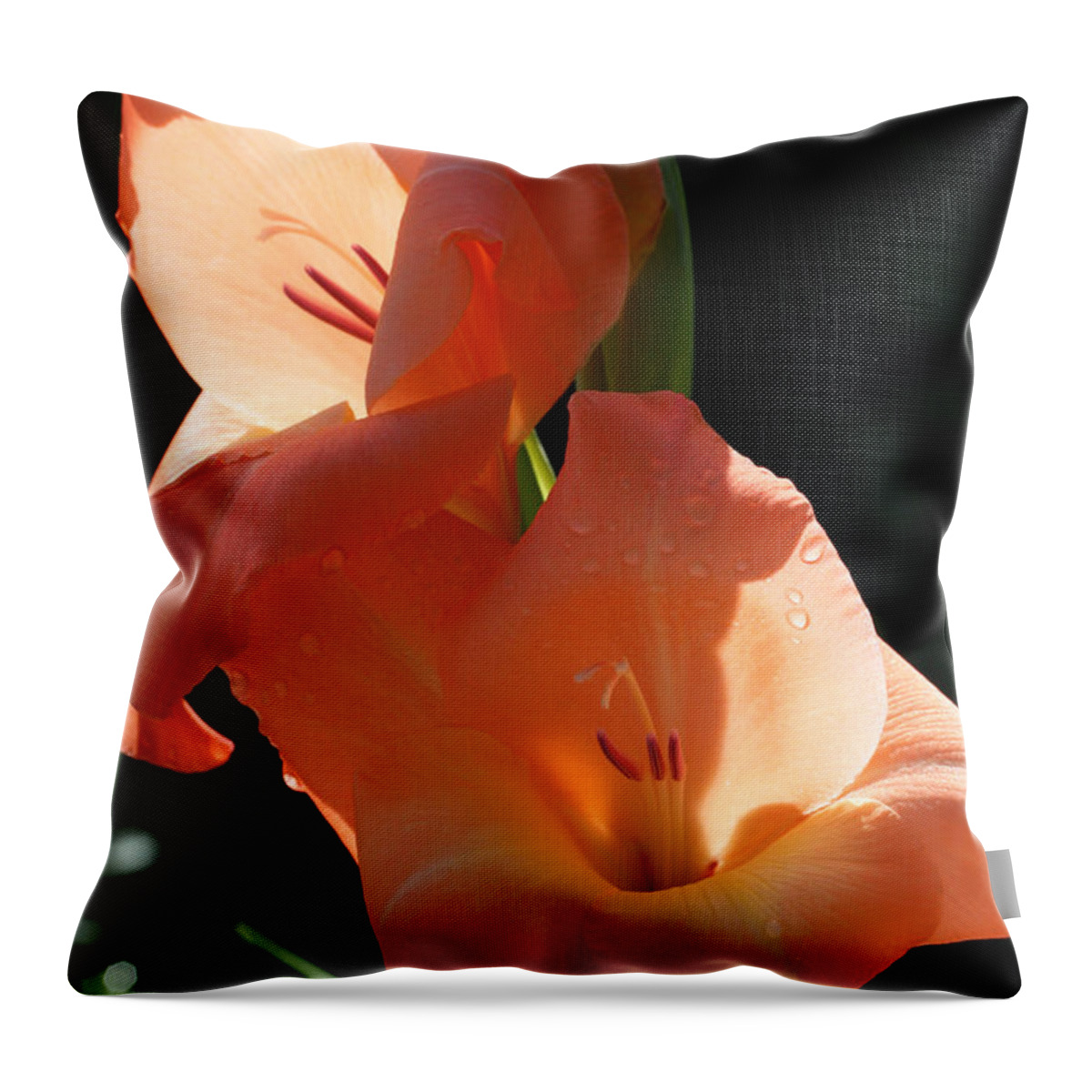 Gladiolus Throw Pillow featuring the photograph Graceful Gladiolus by Tammy Pool
