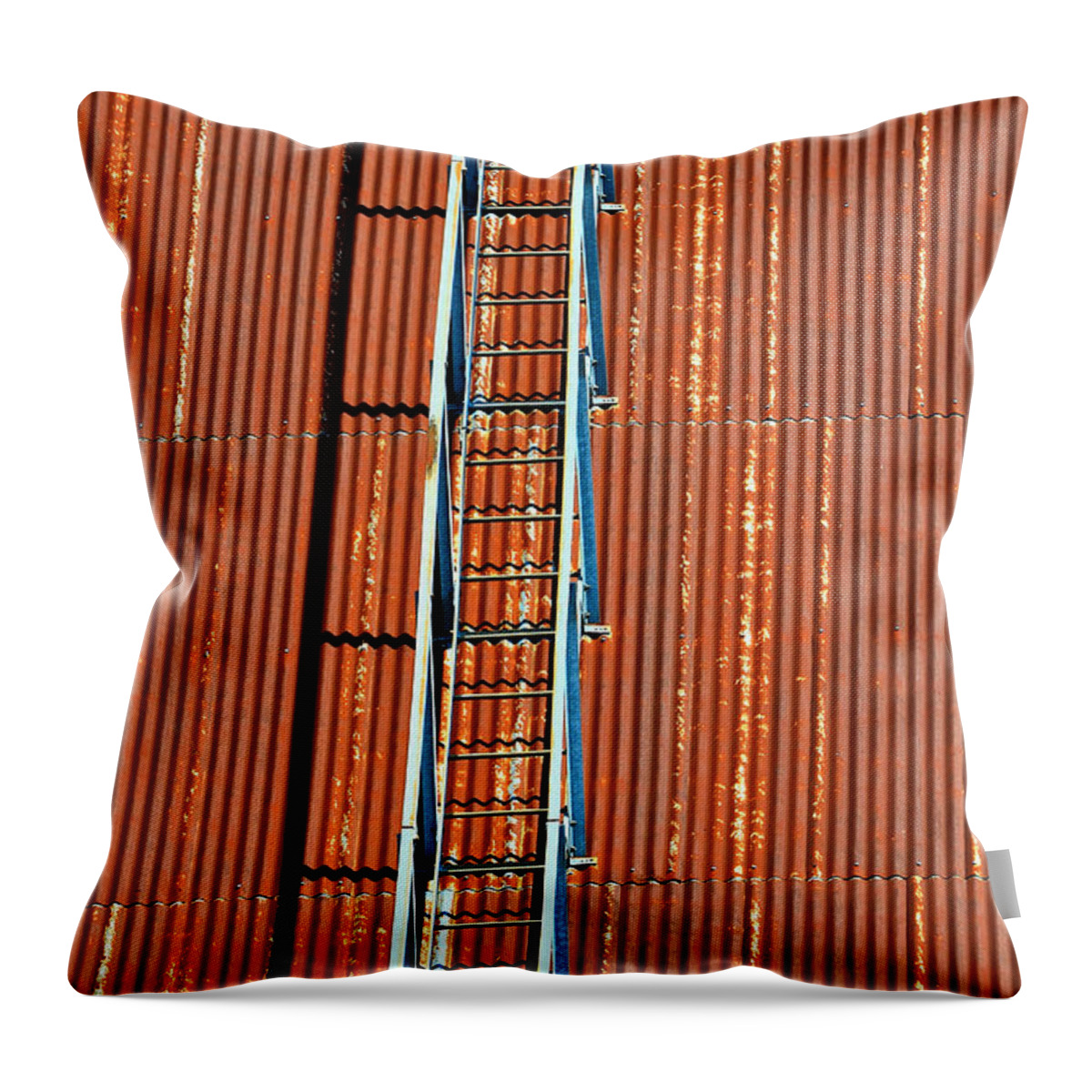 Texas Throw Pillow featuring the photograph Grain Stairway by Erich Grant