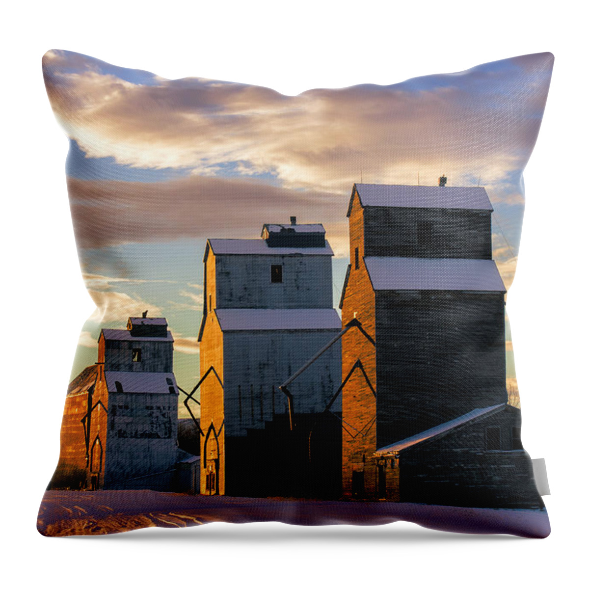 Grain Elevator Throw Pillow featuring the photograph Granary Row by Todd Klassy